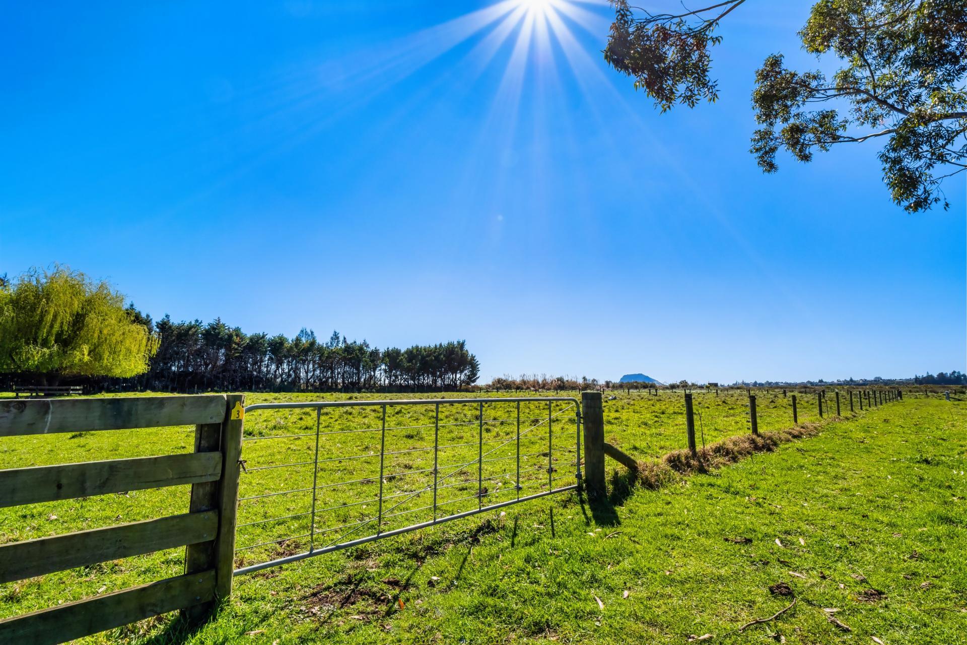 139 Lochhead Road, Te Puna