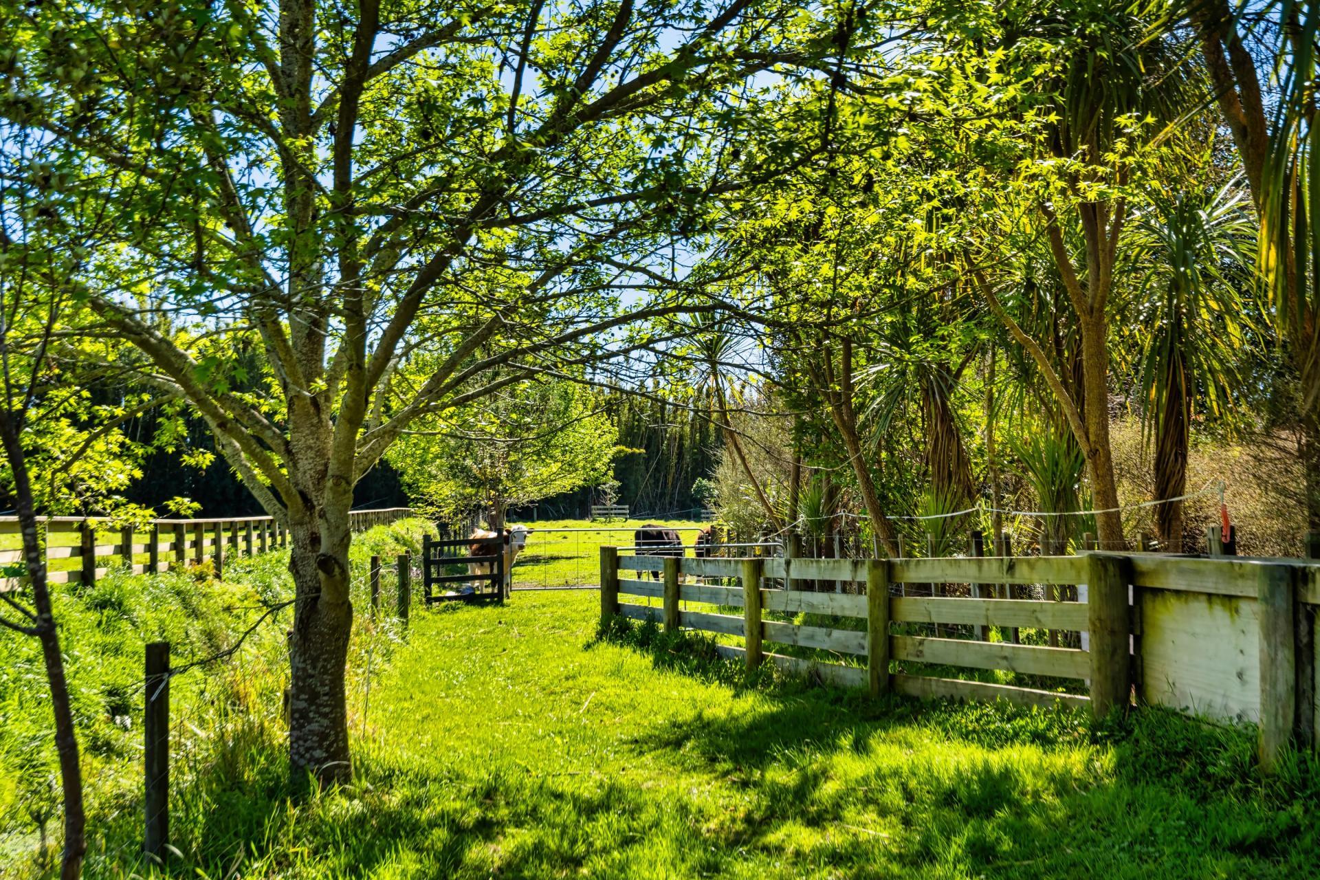 139 Lochhead Road, Te Puna