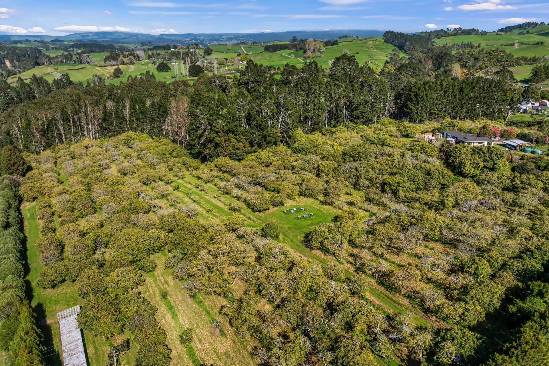 20 McLaren Falls Road, Lower Kaimai