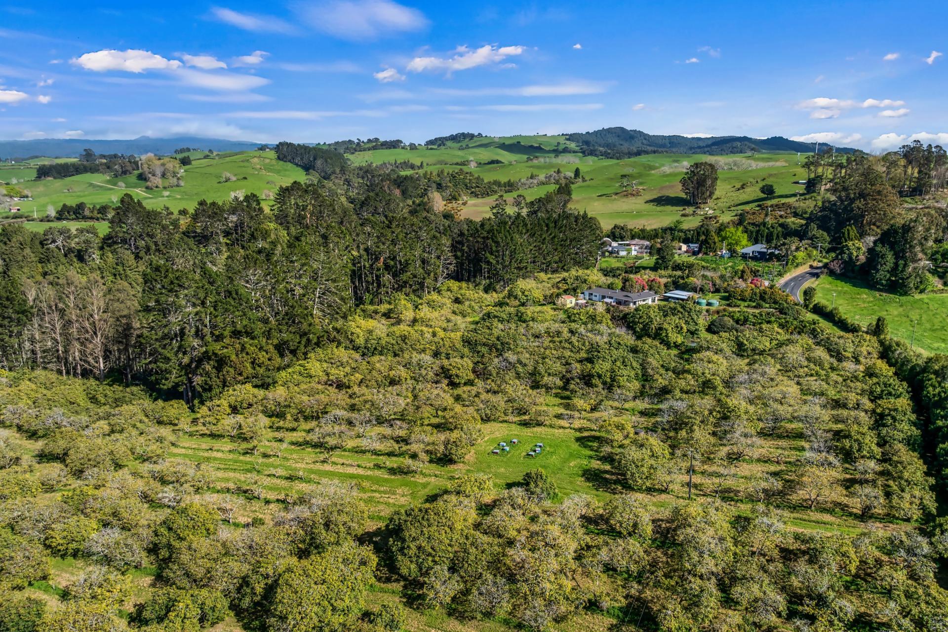 20 McLaren Falls Road, Lower Kaimai