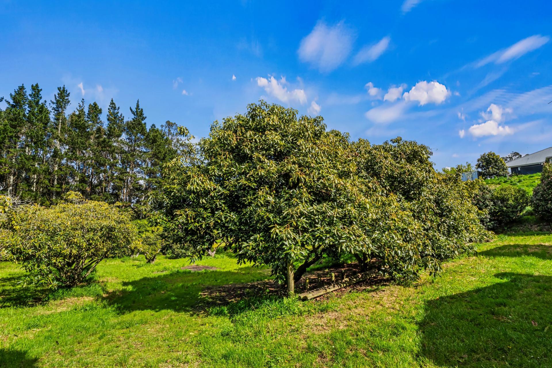 20 McLaren Falls Road, Lower Kaimai