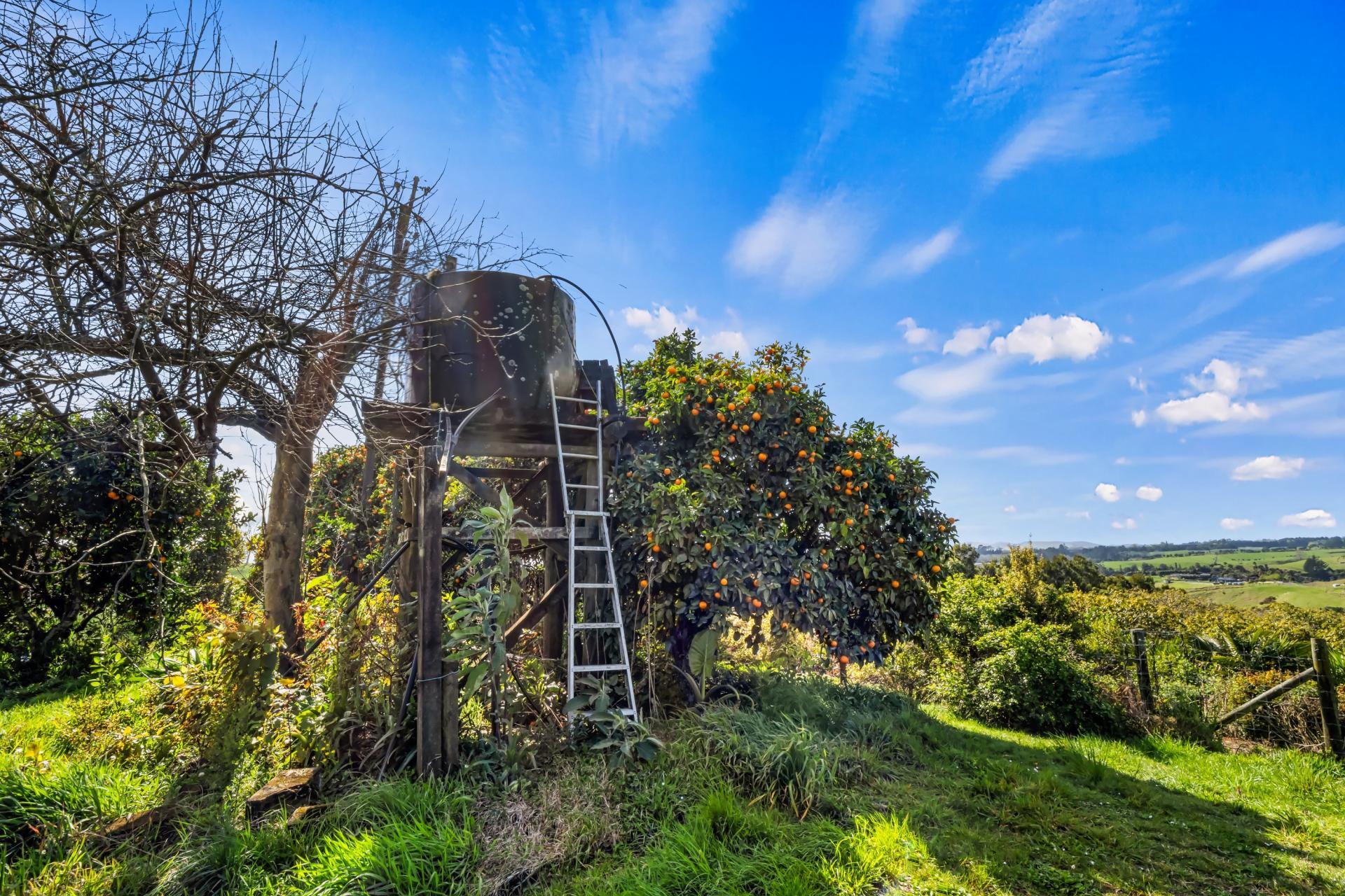 20 McLaren Falls Road, Lower Kaimai