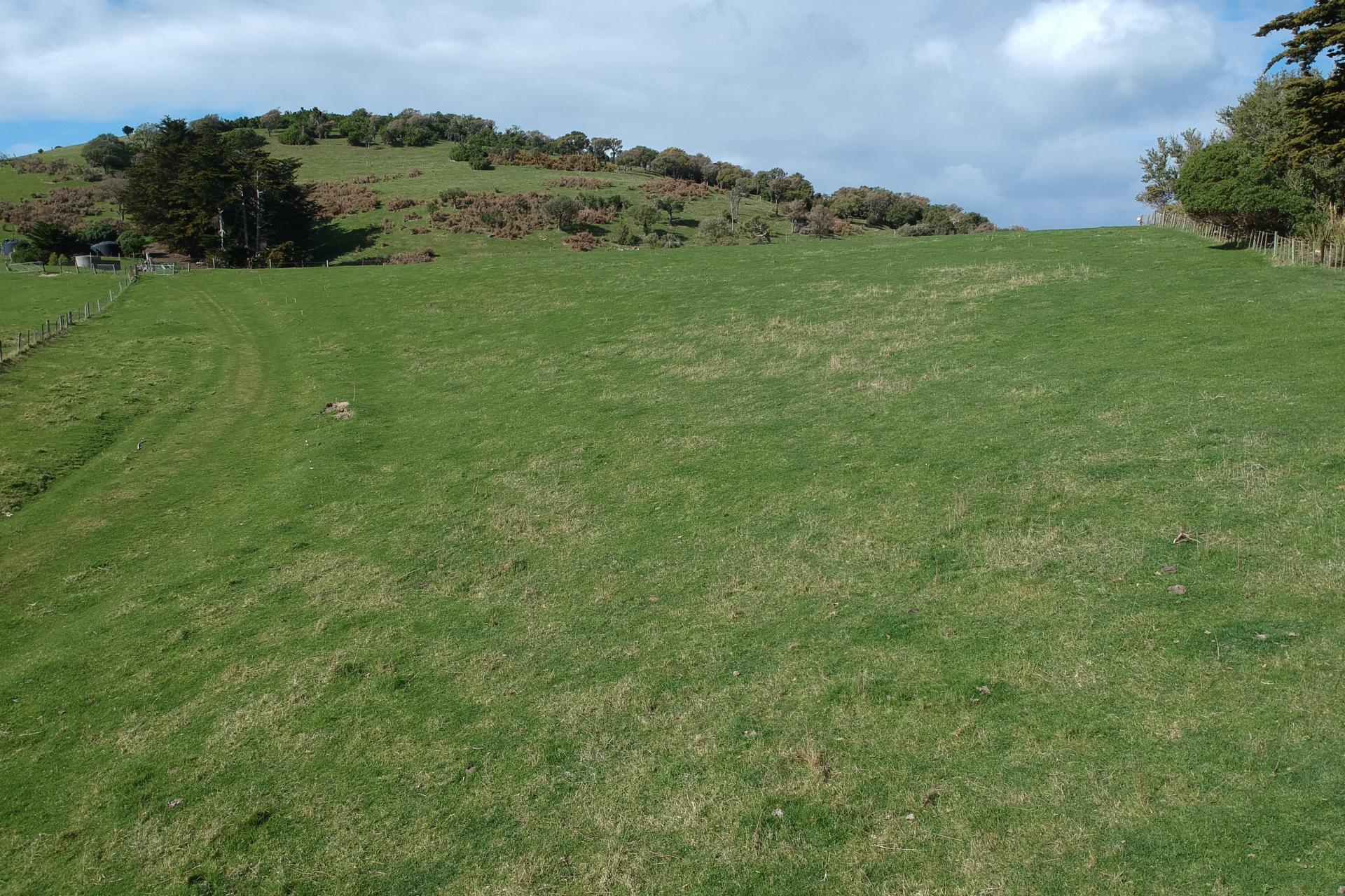 Dick Road, Moeraki