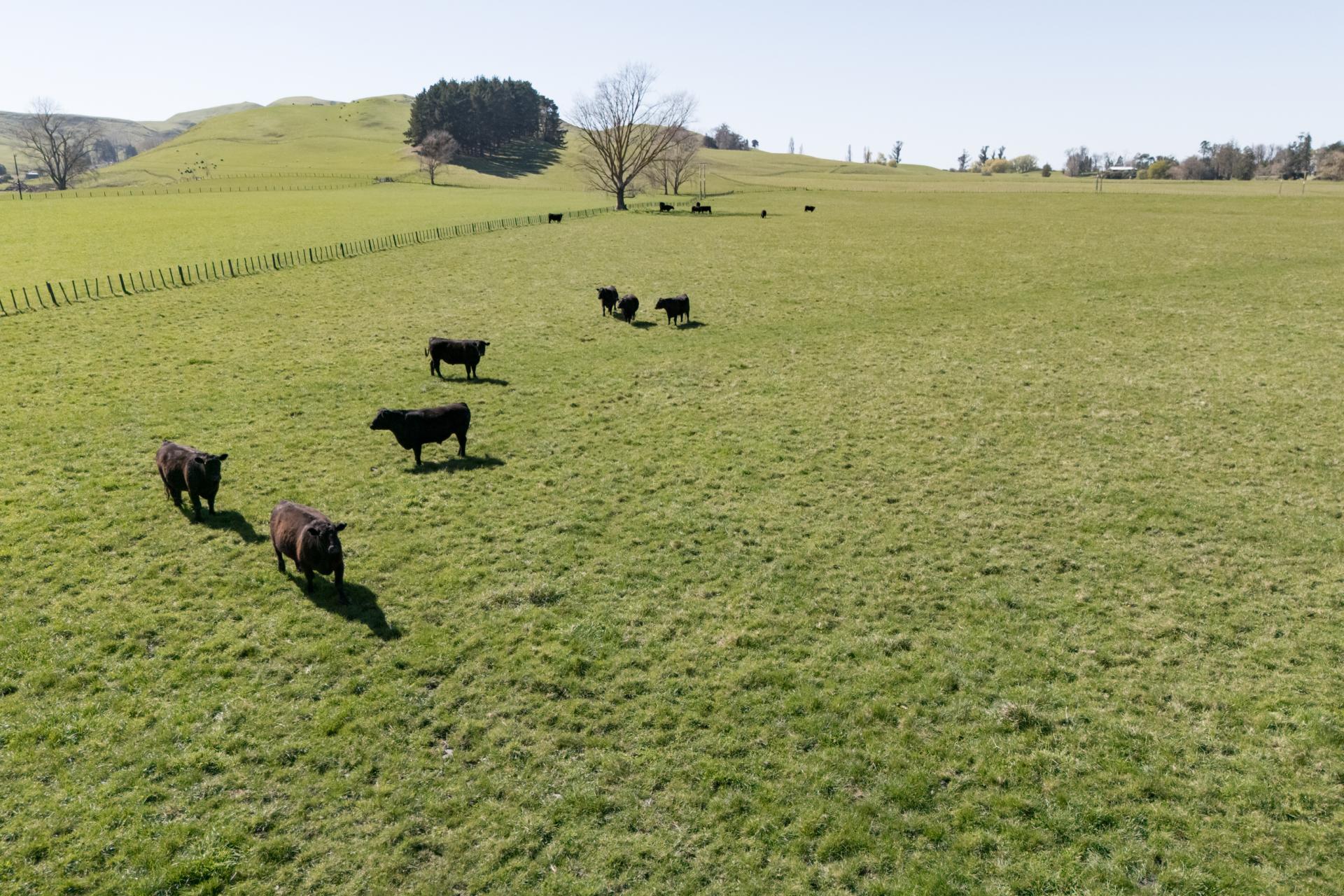 231 Lindsay Road, Waipukurau