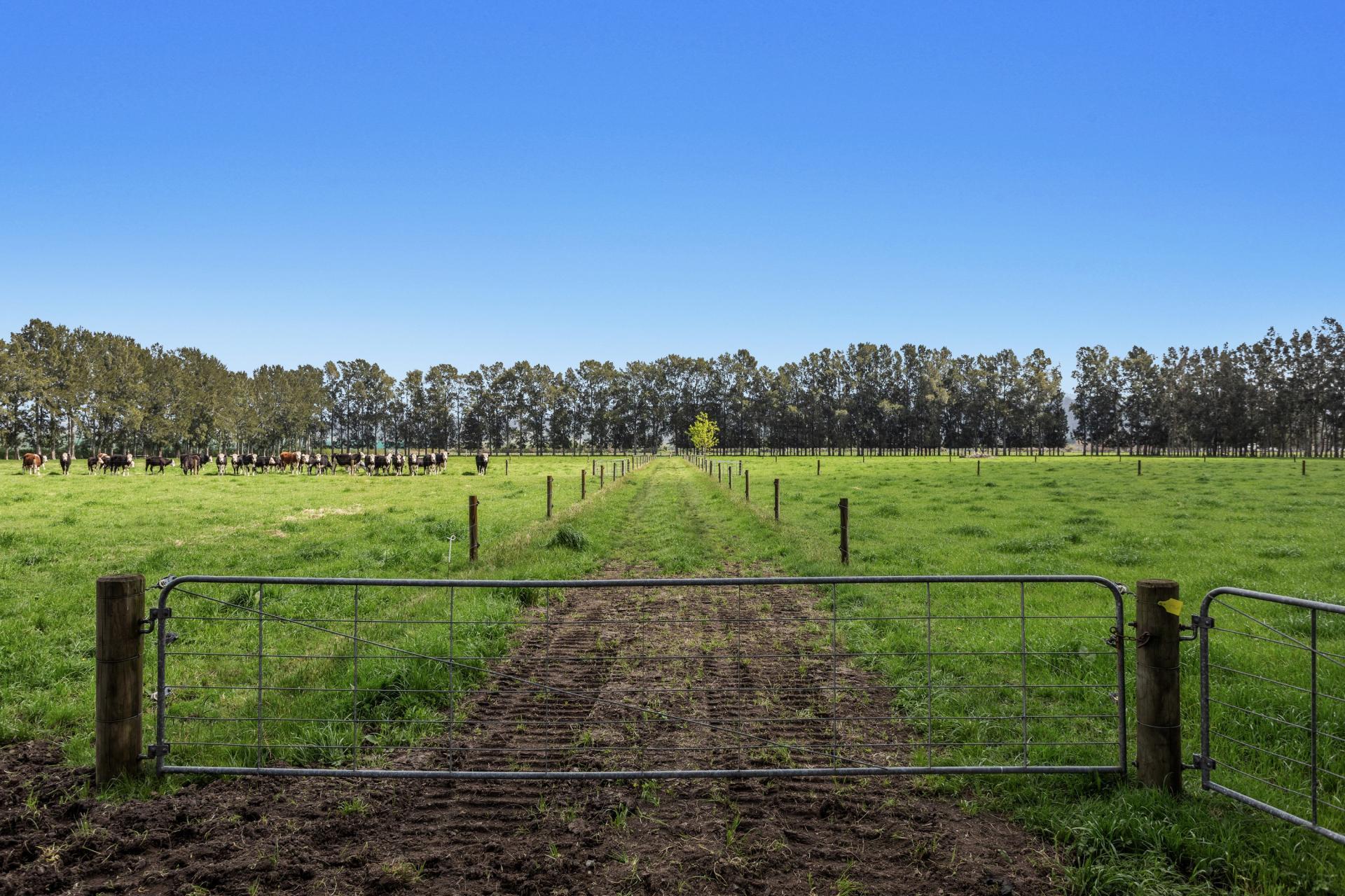 96A and 148 Hallett Road, Otakiri