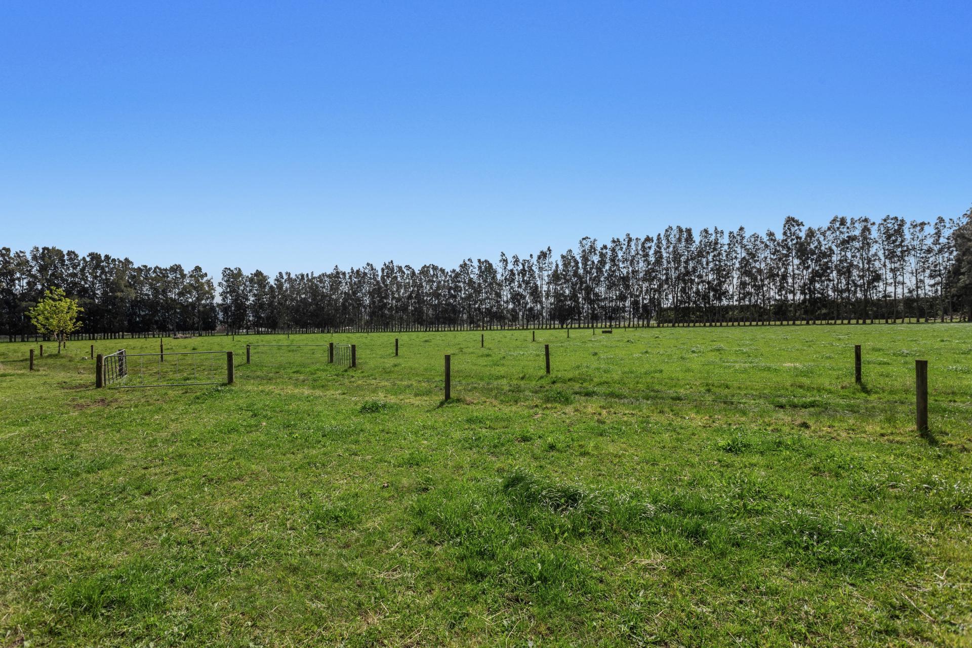 96A and 148 Hallett Road, Otakiri
