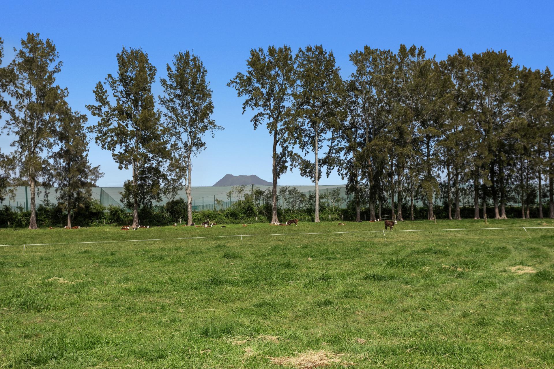 96A and 148 Hallett Road, Otakiri
