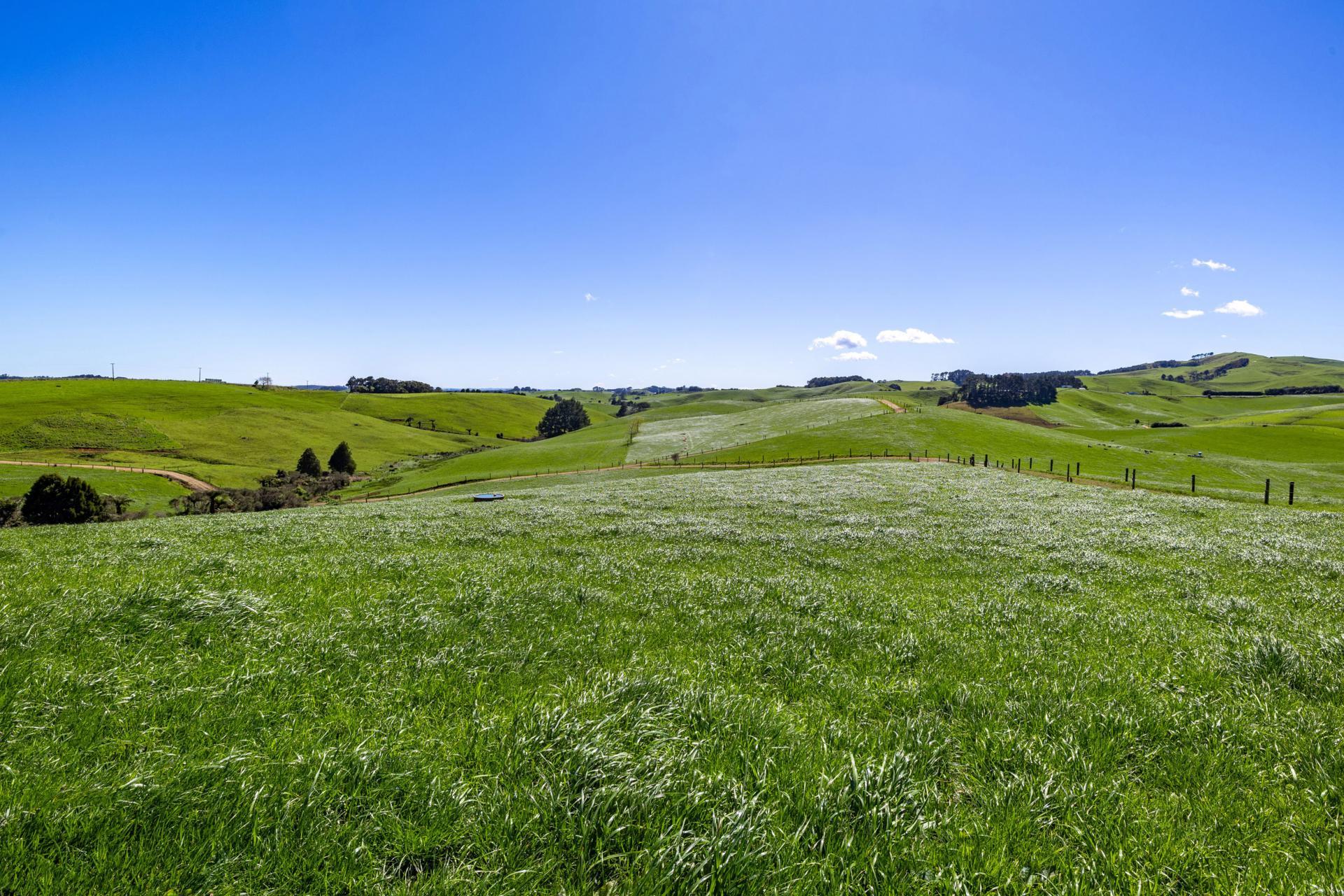 44 Te Papatapu Road, Raglan