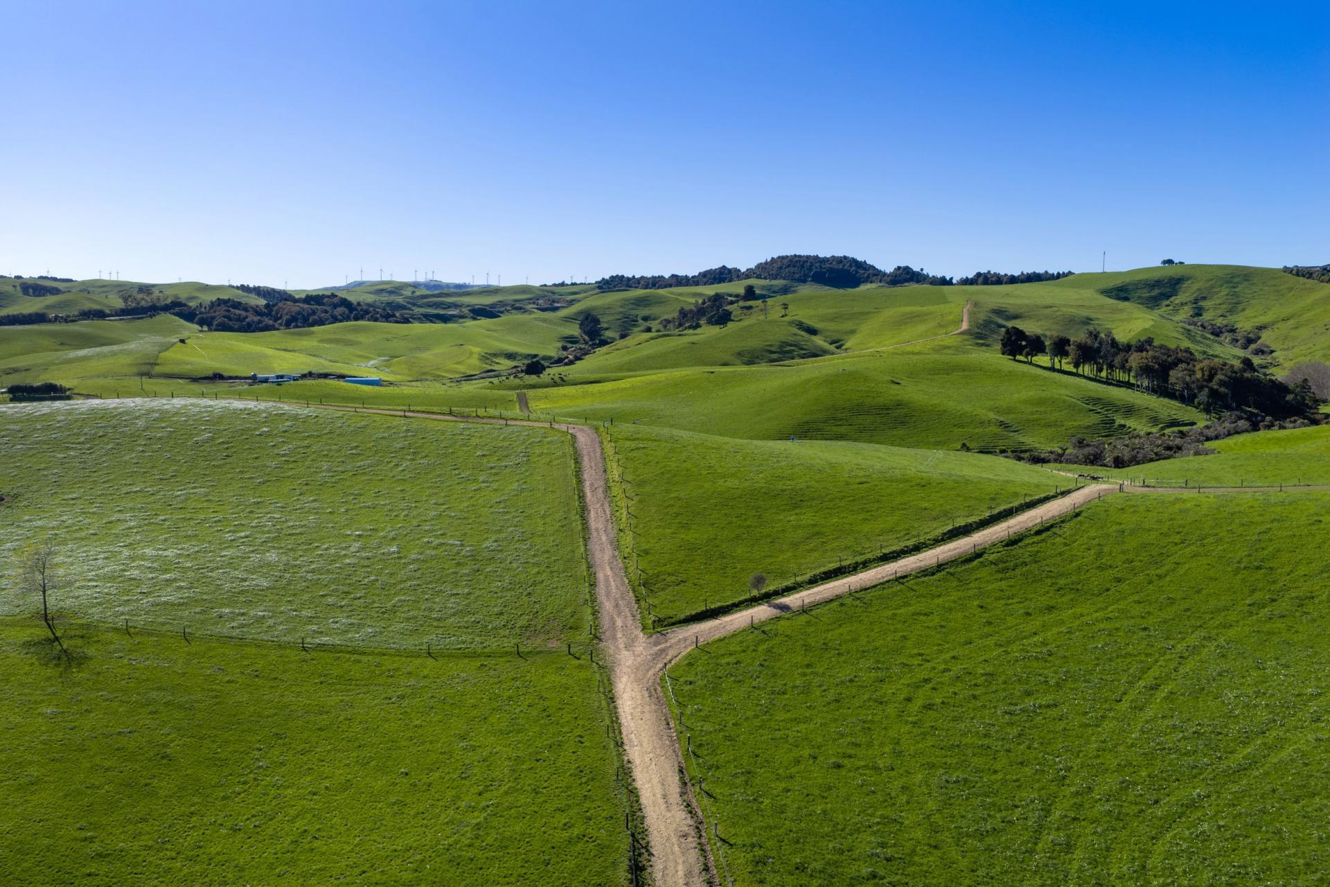 44 Te Papatapu Road, Raglan