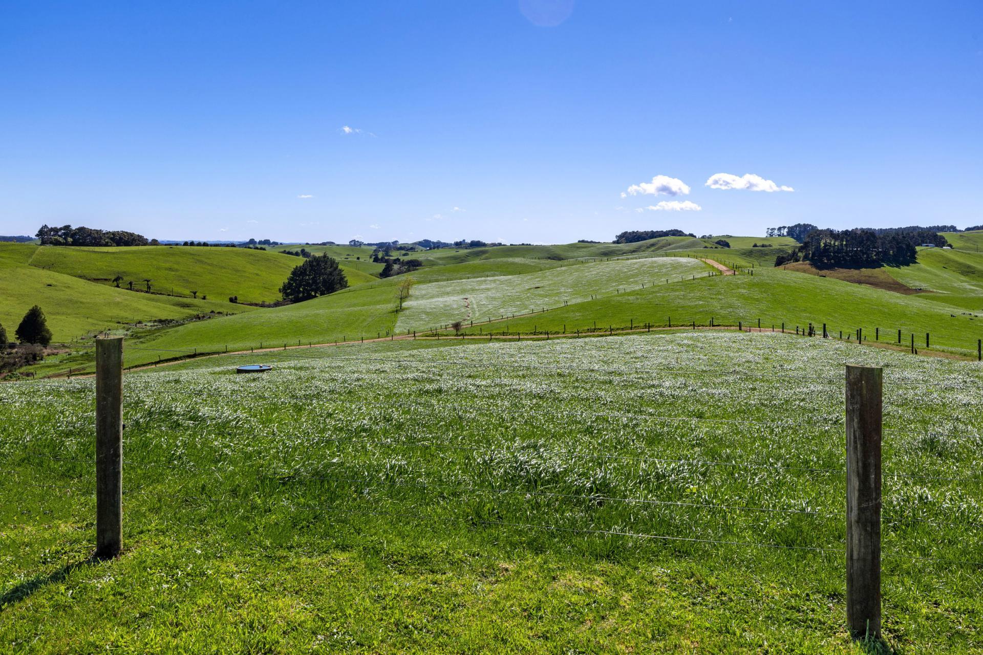 44 Te Papatapu Road, Raglan