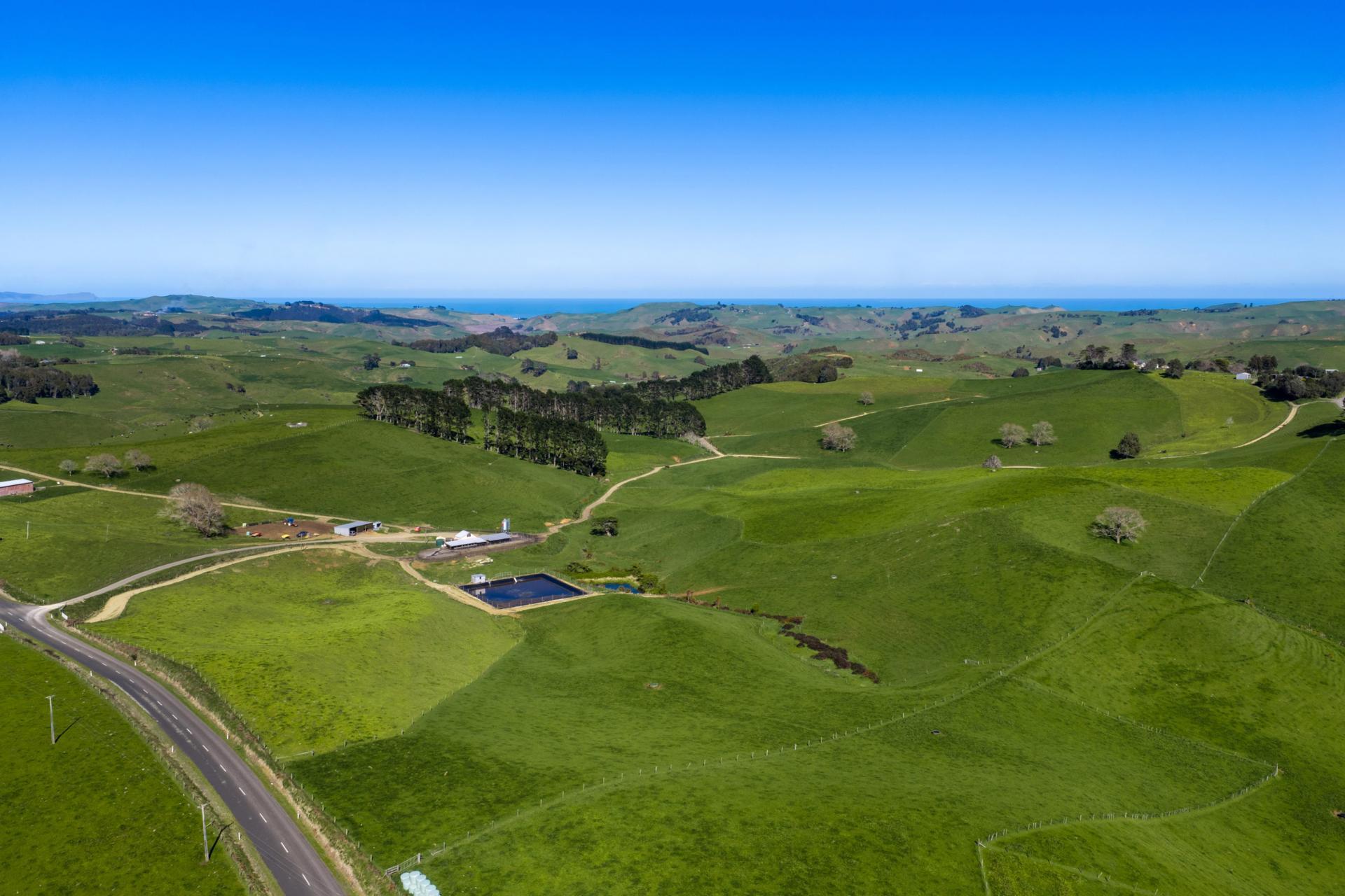 44 Te Papatapu Road, Raglan