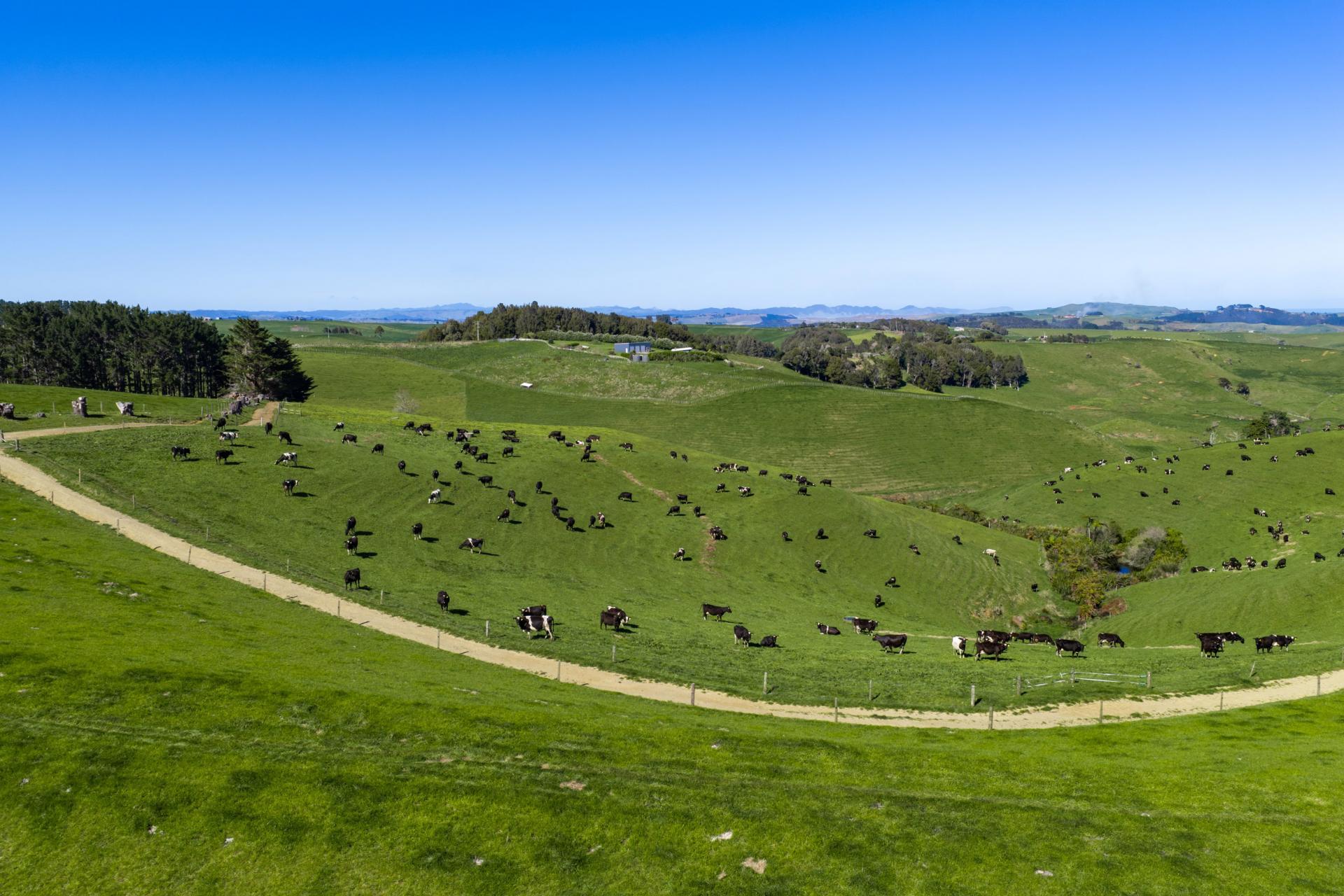 44 Te Papatapu Road, Raglan