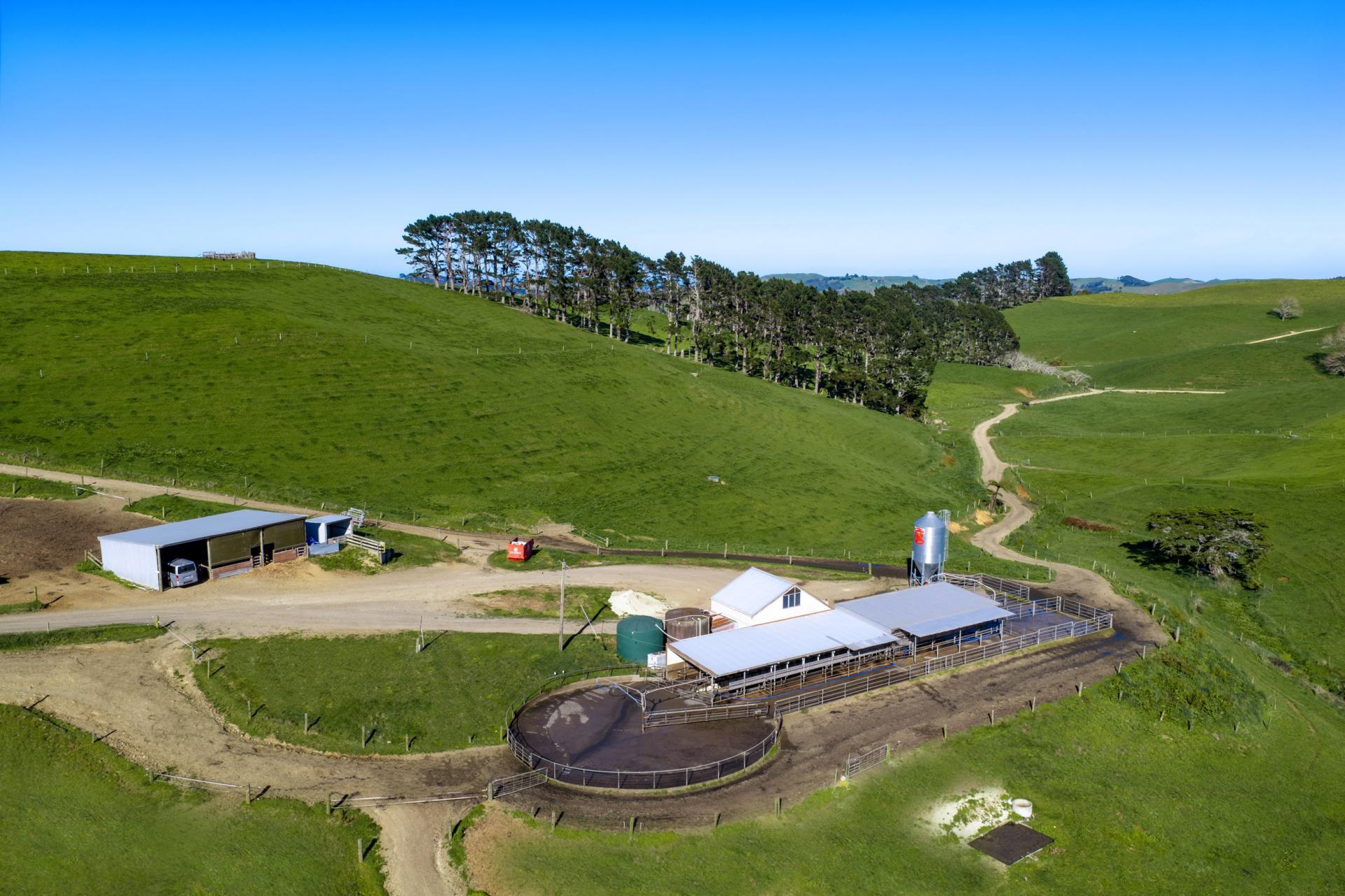 44 Te Papatapu Road, Raglan