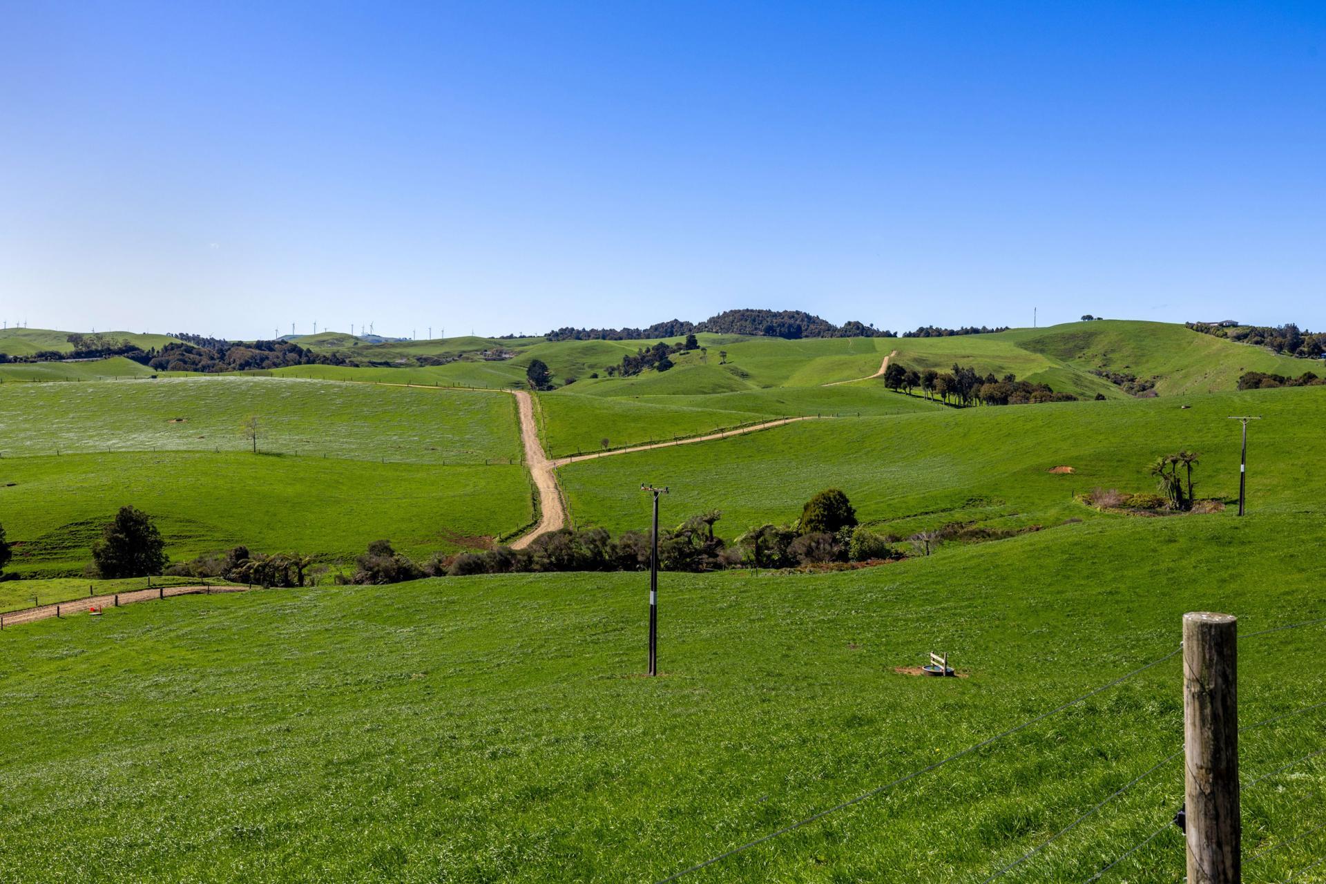 44 Te Papatapu Road, Raglan