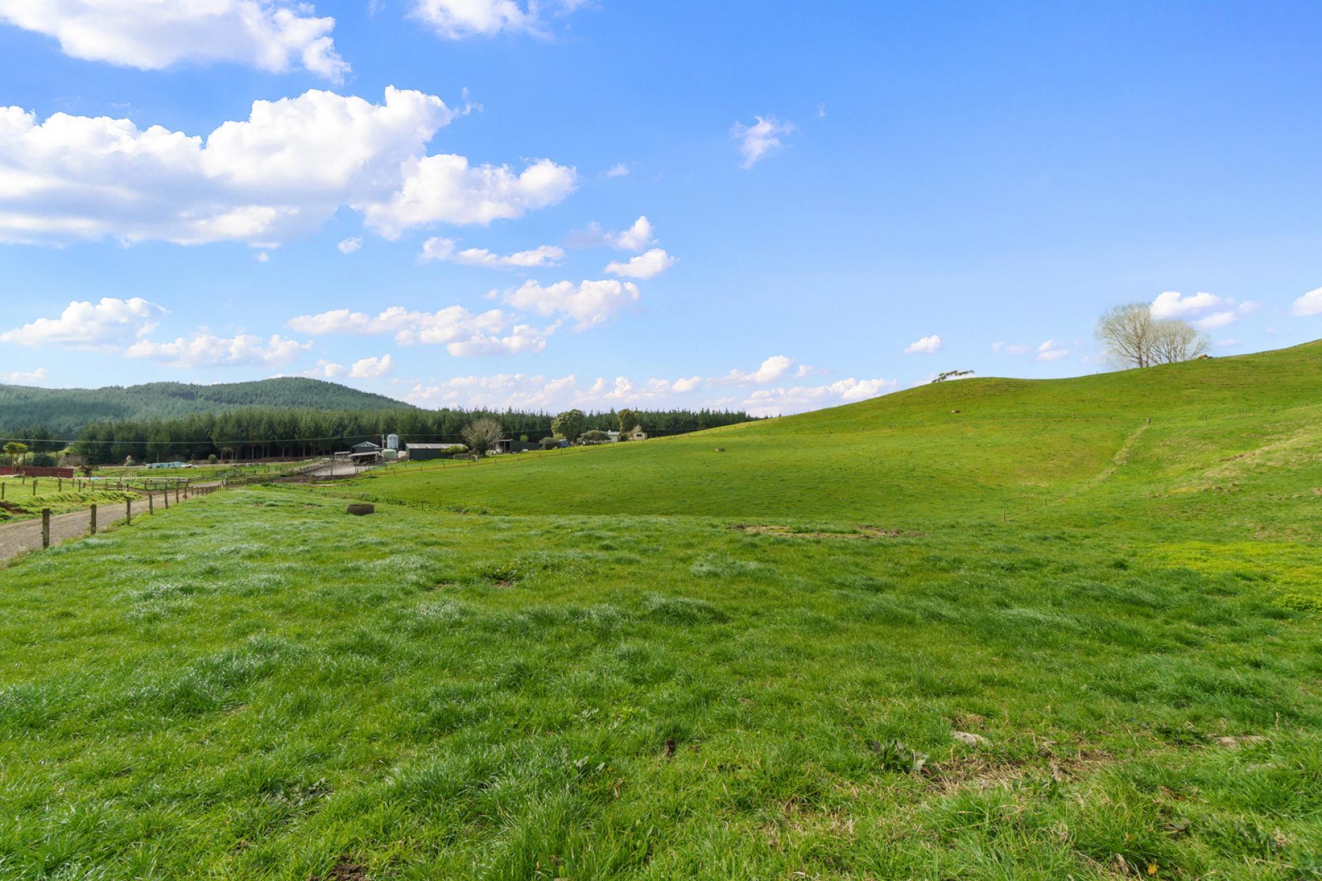735 Tairua SH25 Road, Onemana
