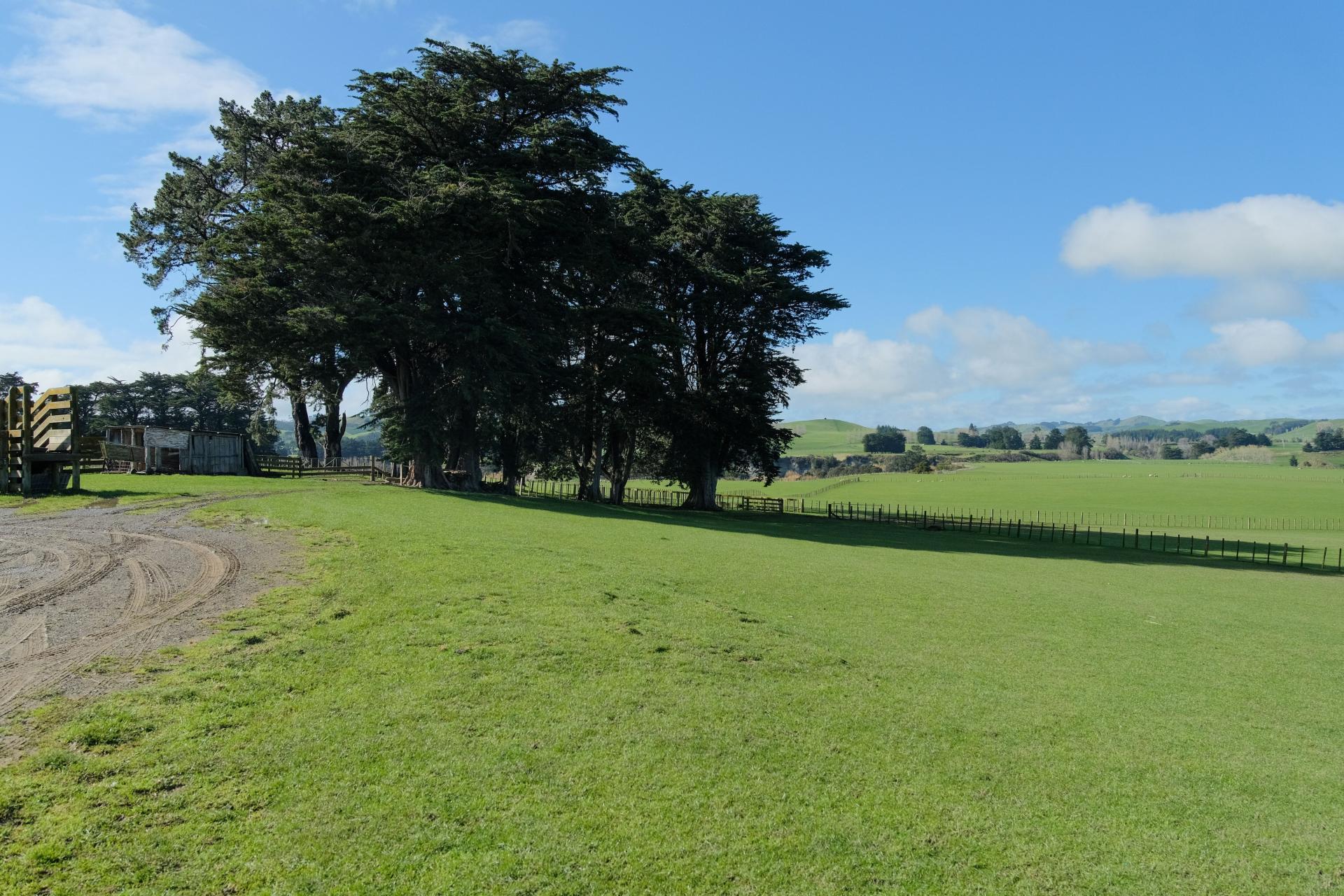 63 Hamilton Road, Dannevirke