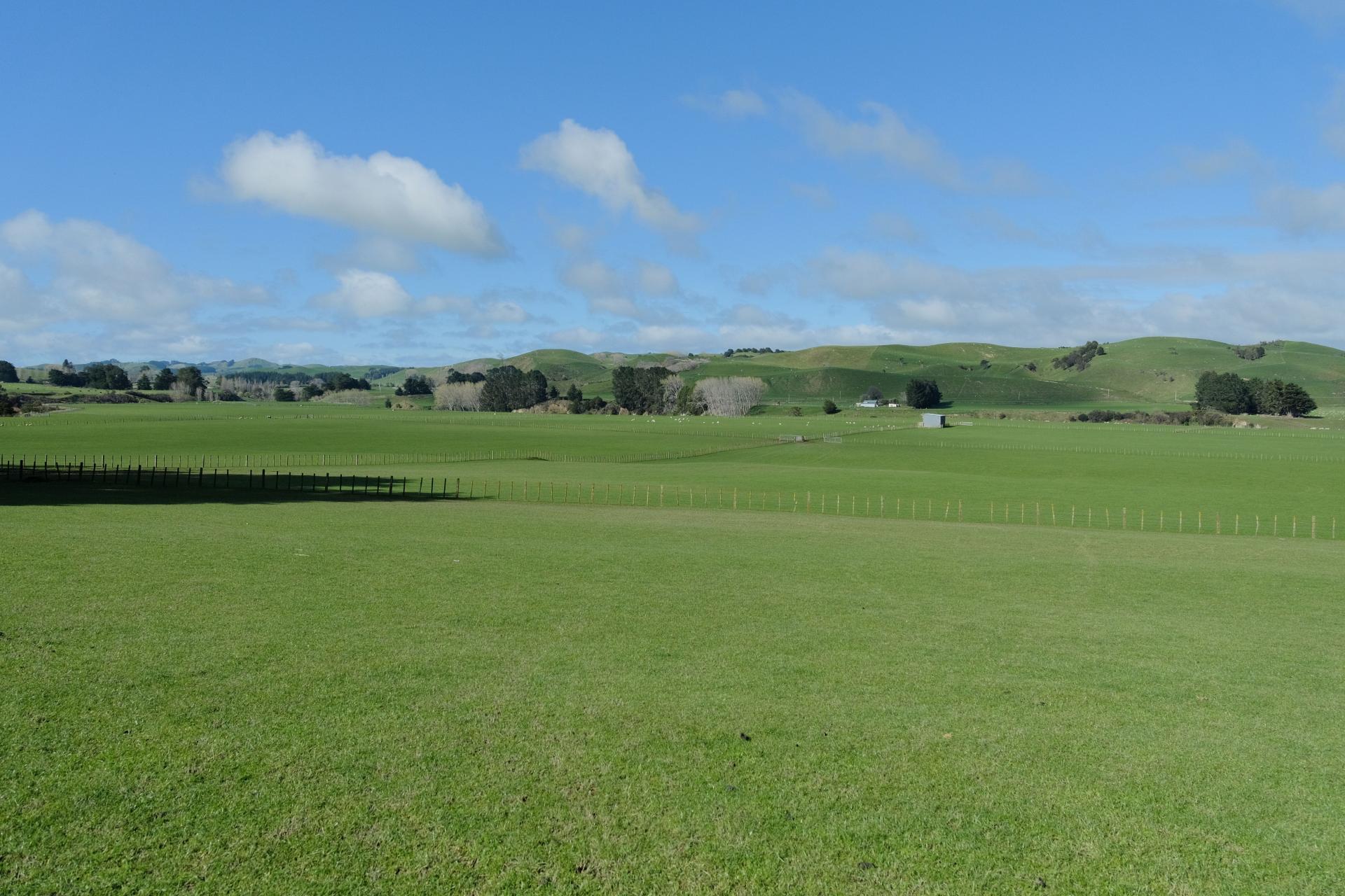 63 Hamilton Road, Dannevirke