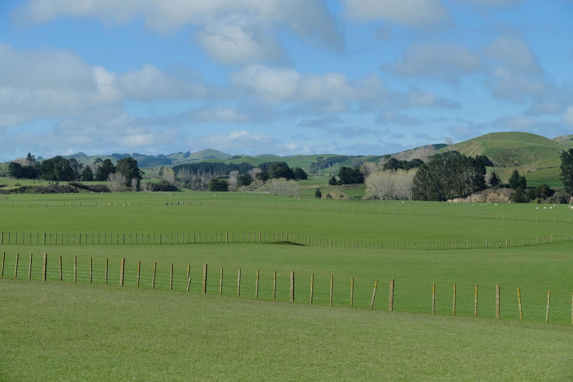 63 Hamilton Road, Dannevirke