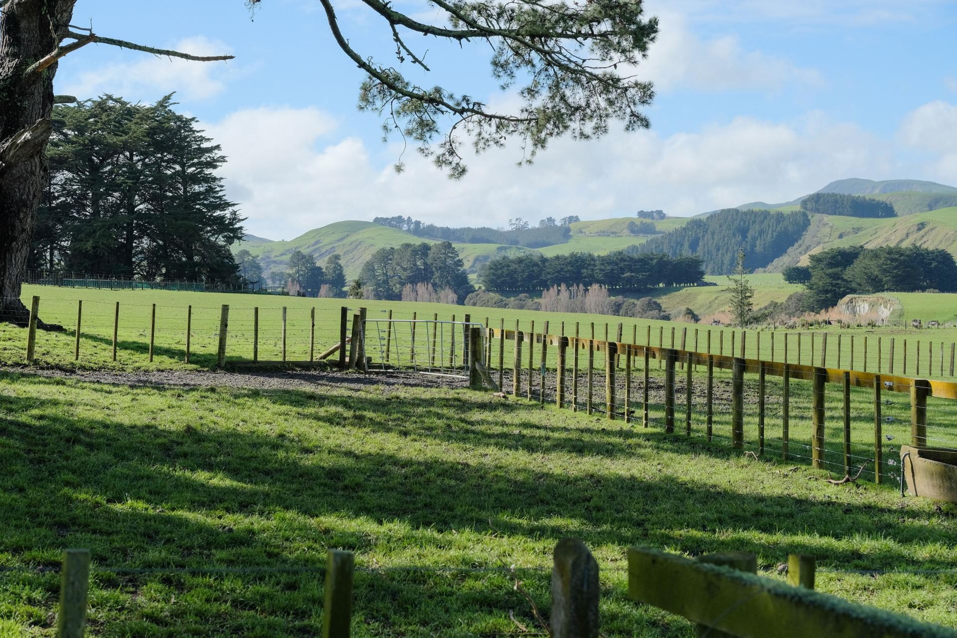63 Hamilton Road, Dannevirke