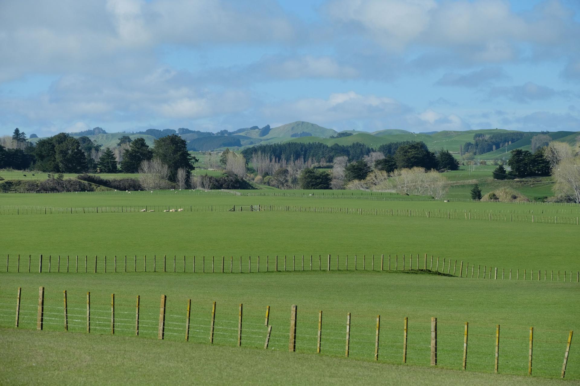 63 Hamilton Road, Dannevirke