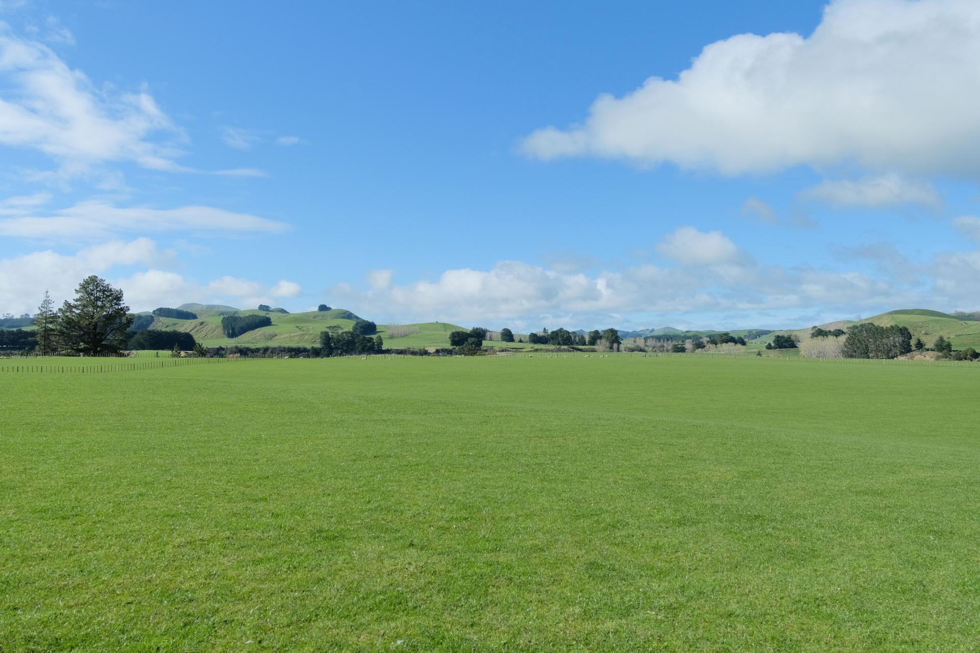 63 Hamilton Road, Dannevirke