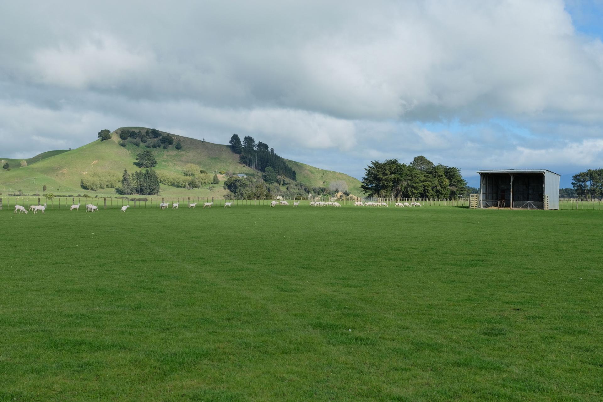 63 Hamilton Road, Dannevirke