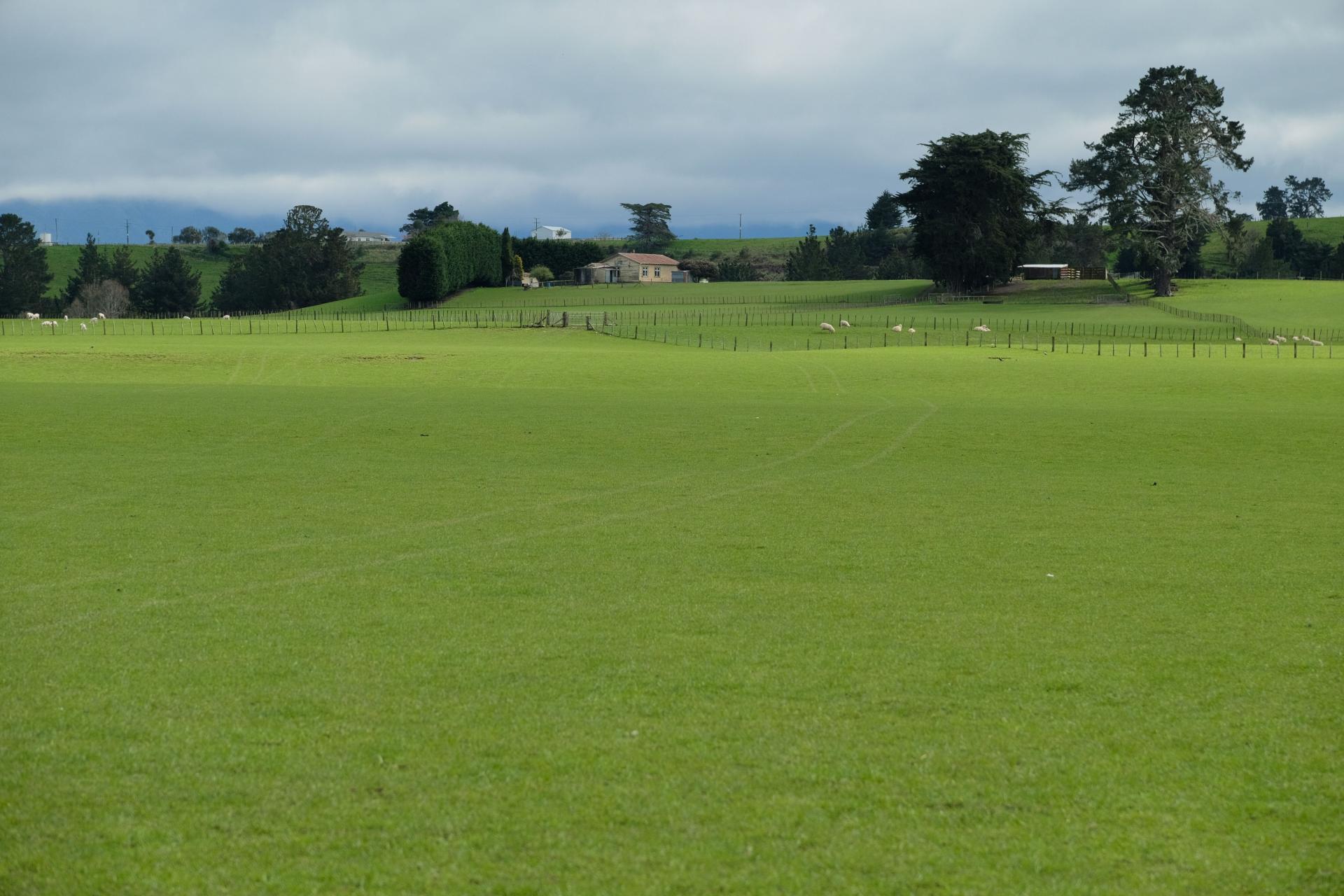 63 Hamilton Road, Dannevirke