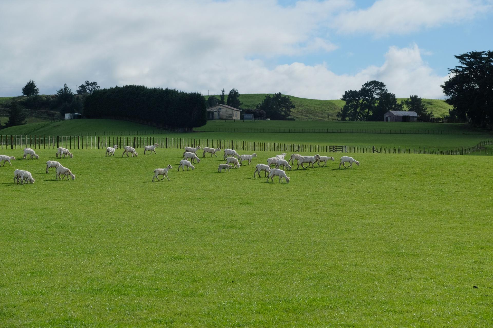 63 Hamilton Road, Dannevirke