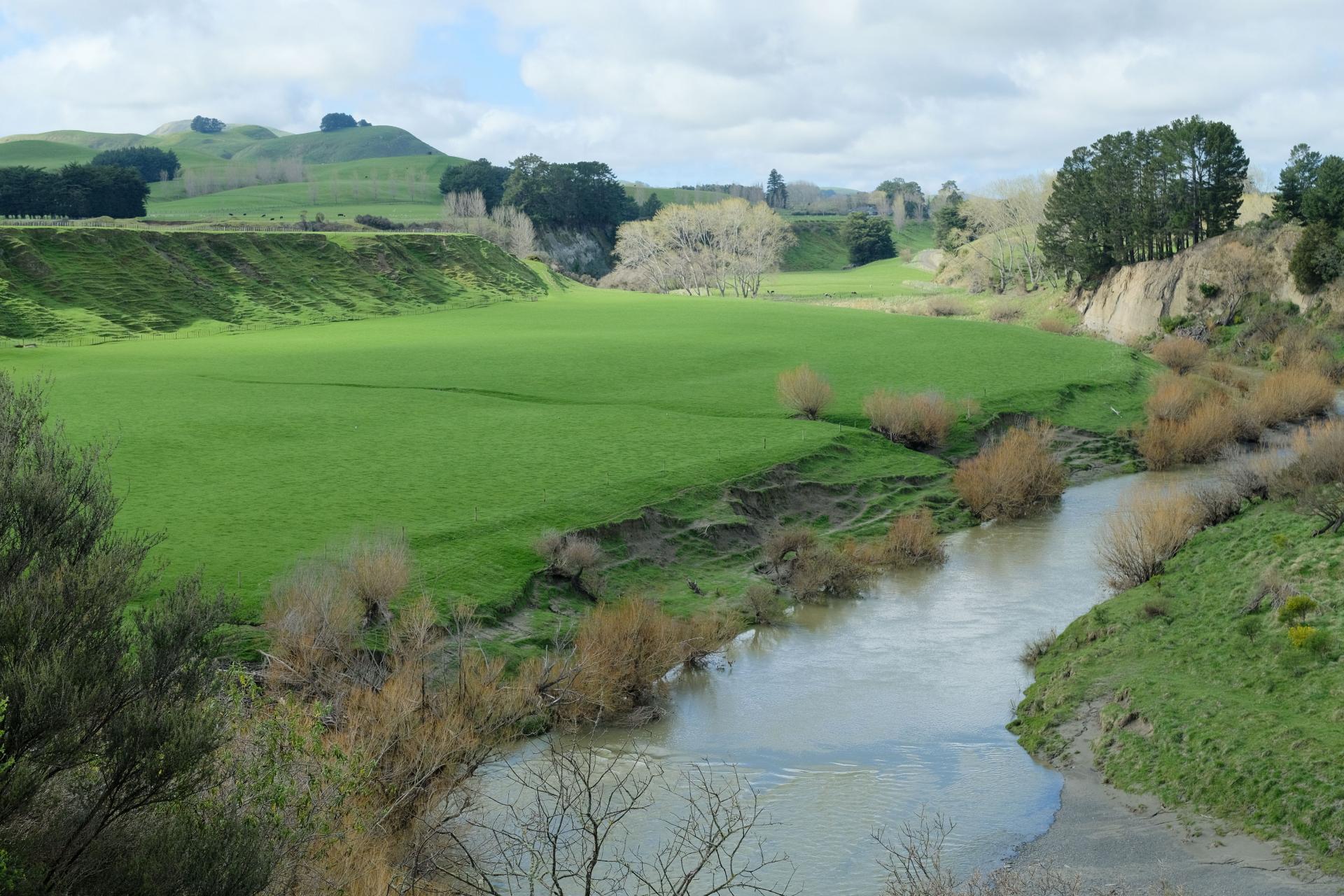 63 Hamilton Road, Dannevirke
