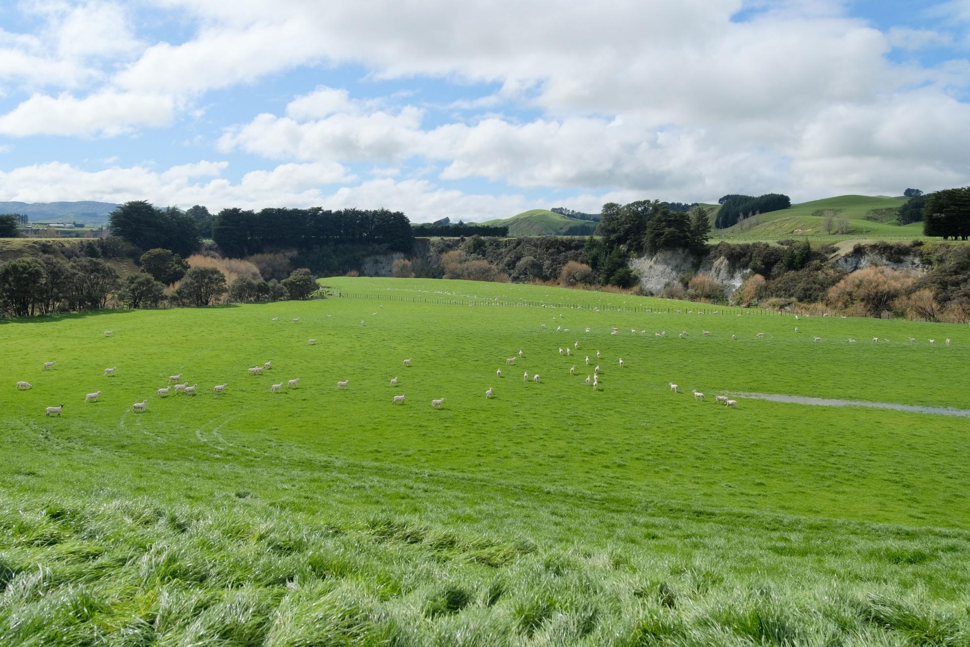 63 Hamilton Road, Dannevirke