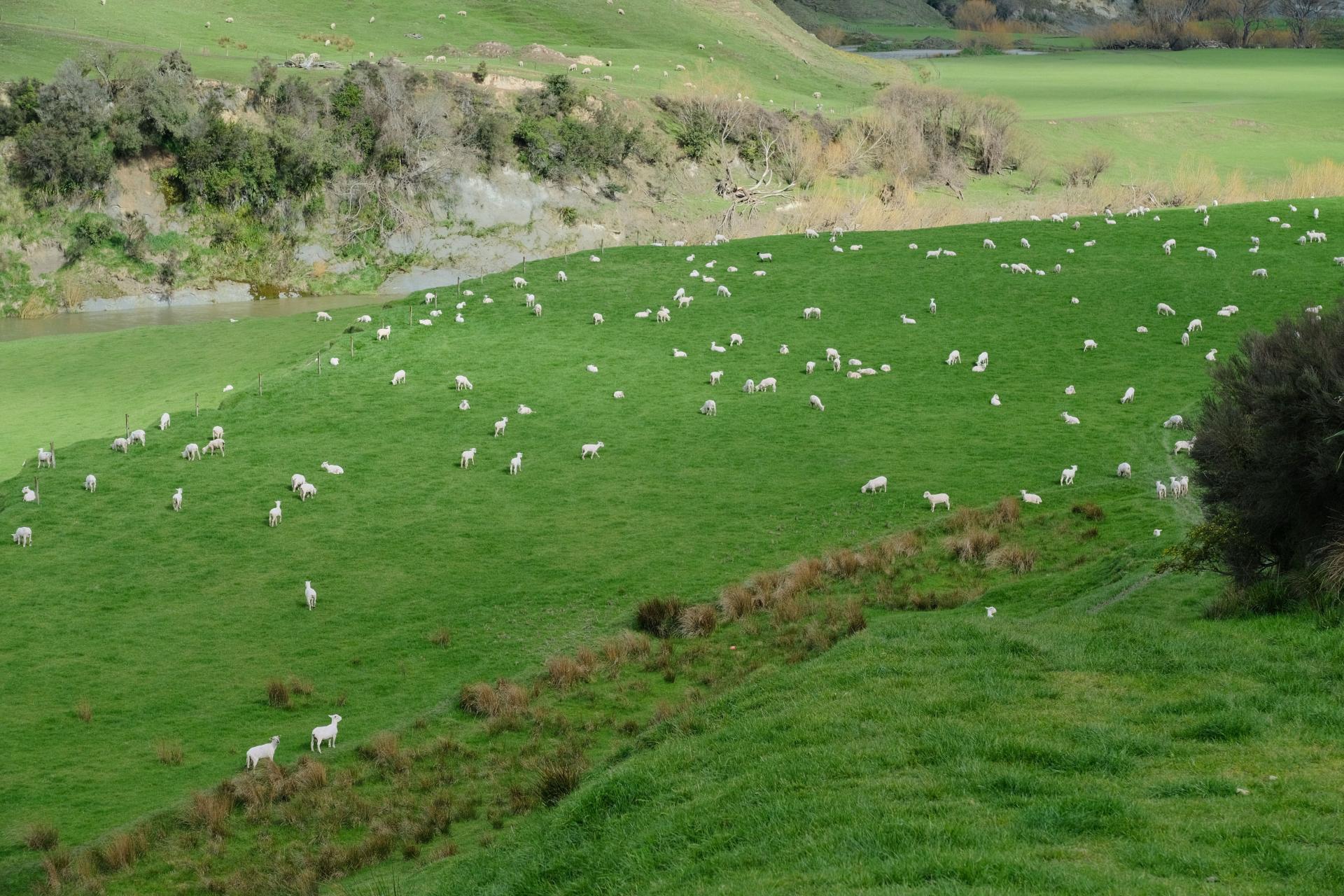 63 Hamilton Road, Dannevirke