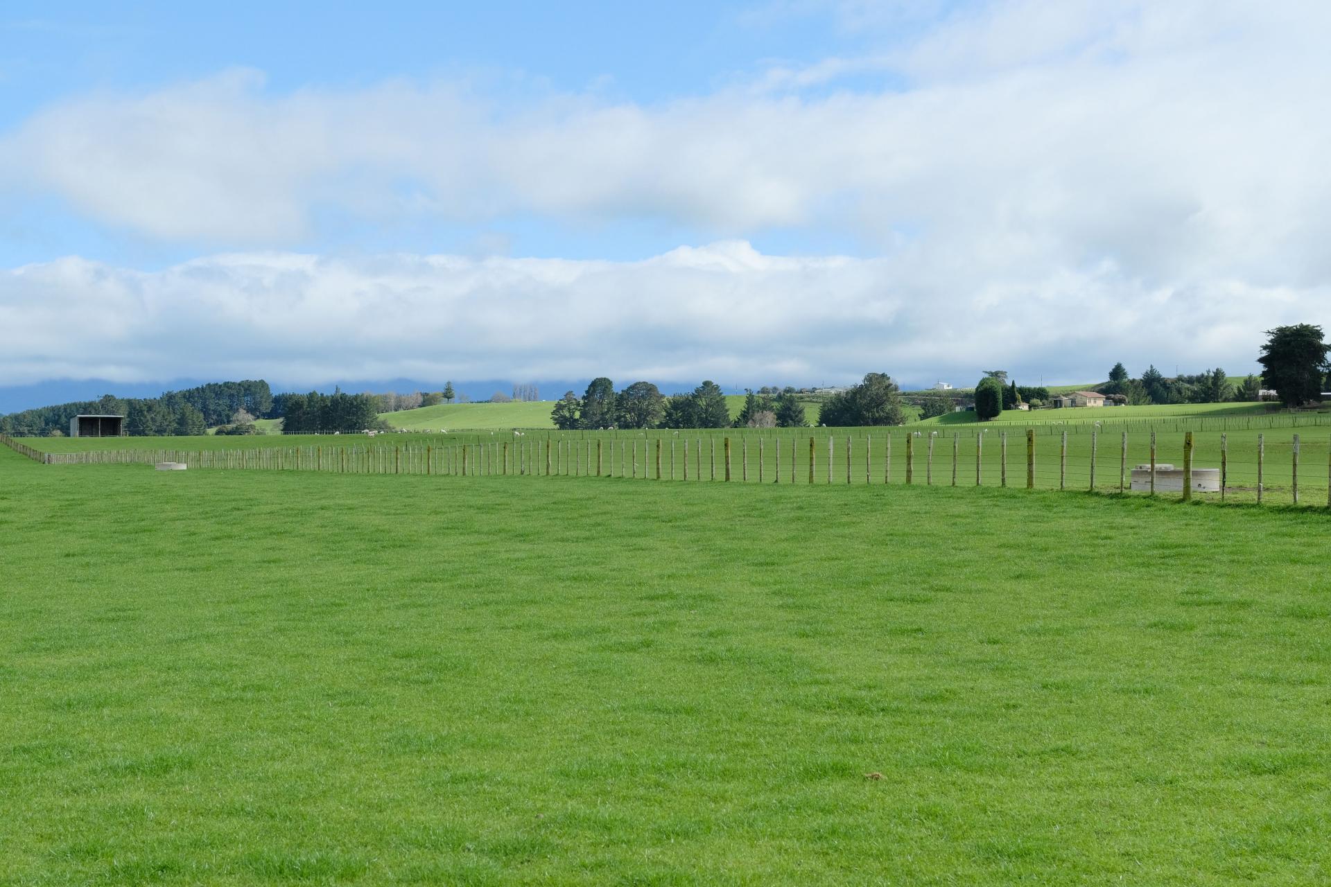 63 Hamilton Road, Dannevirke