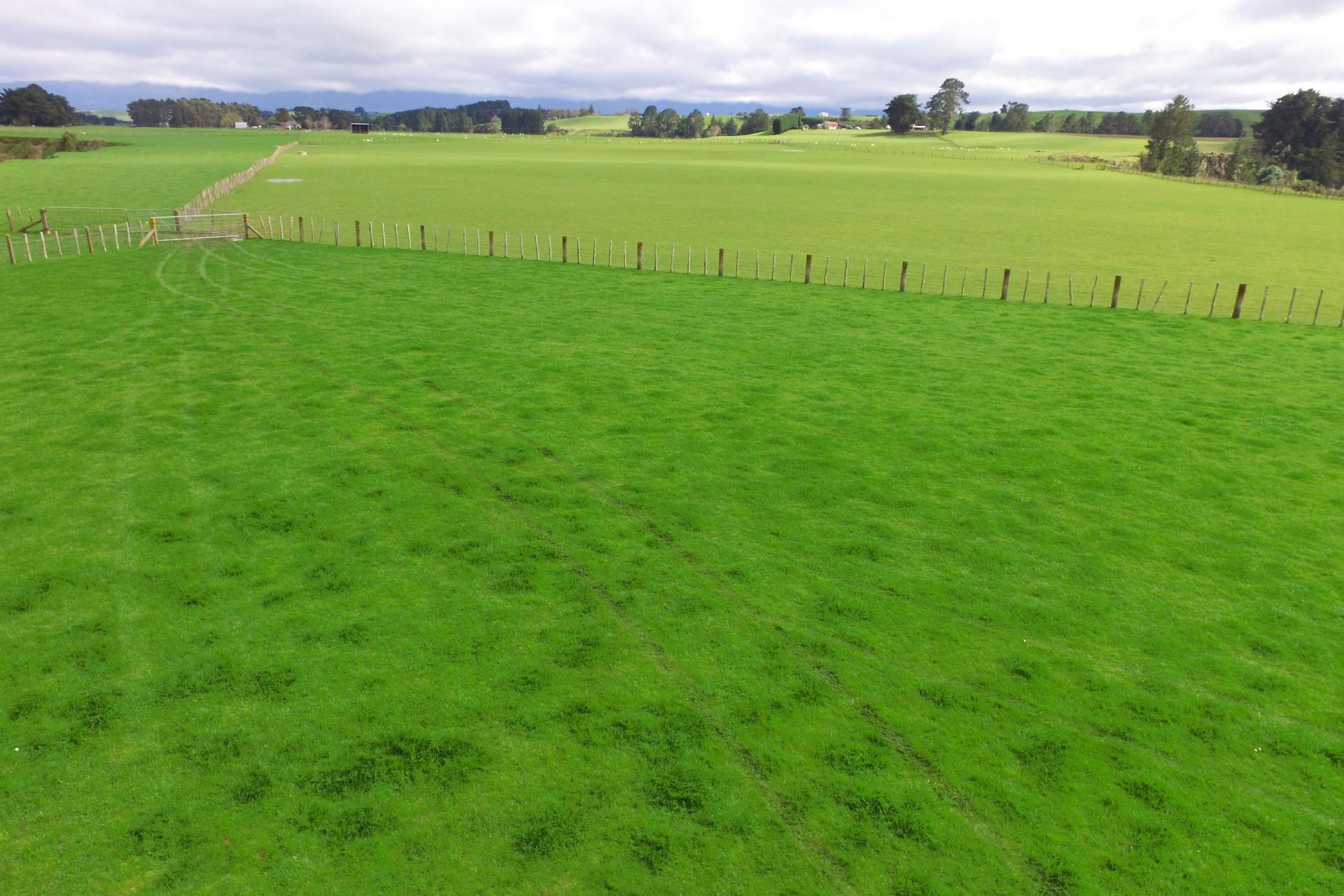 63 Hamilton Road, Dannevirke