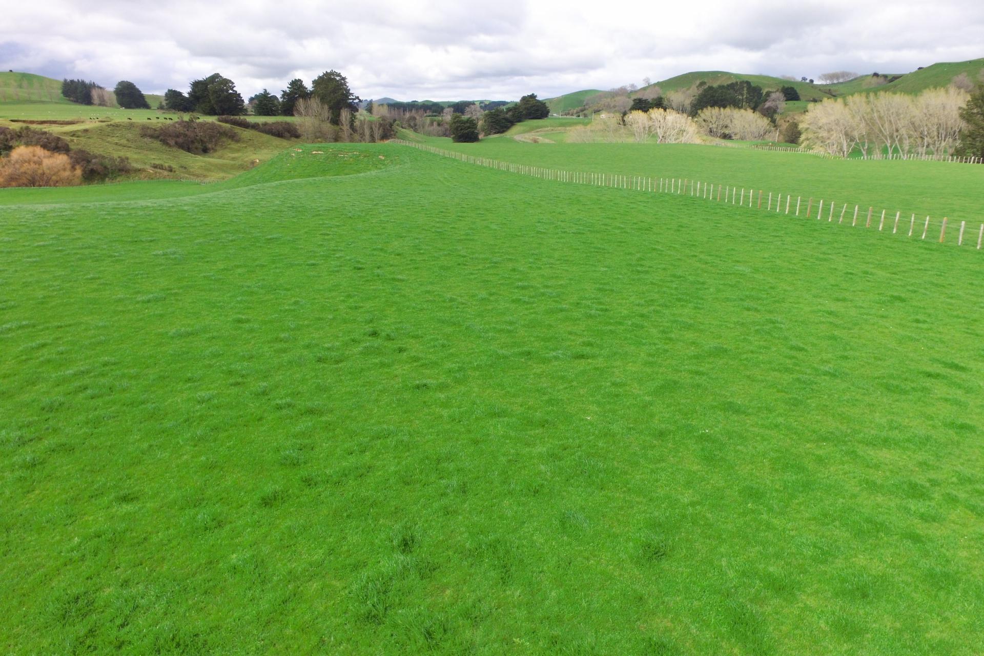 63 Hamilton Road, Dannevirke