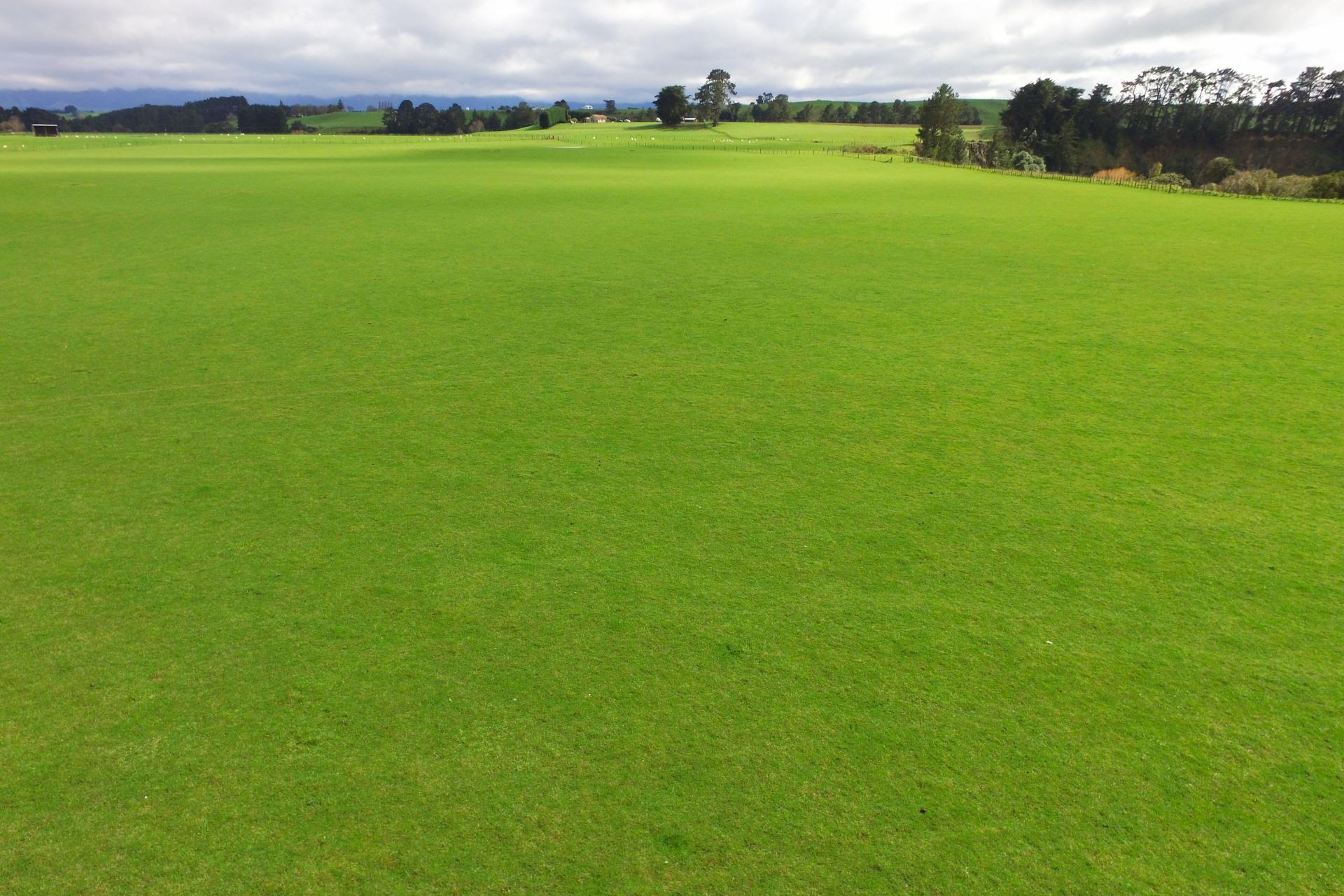 63 Hamilton Road, Dannevirke