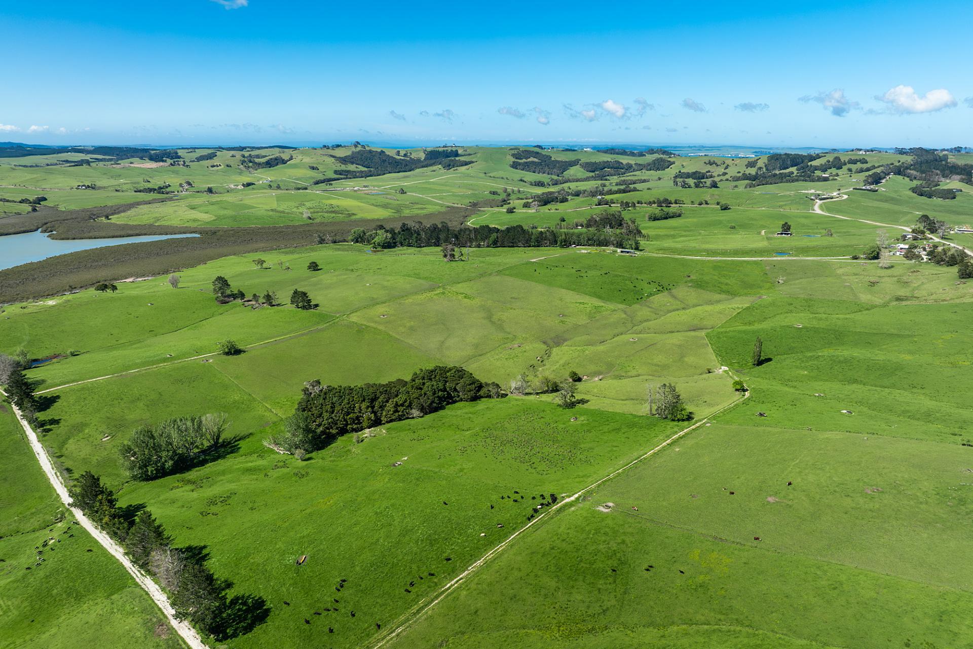 Lot 2 Neems Road, Matakohe