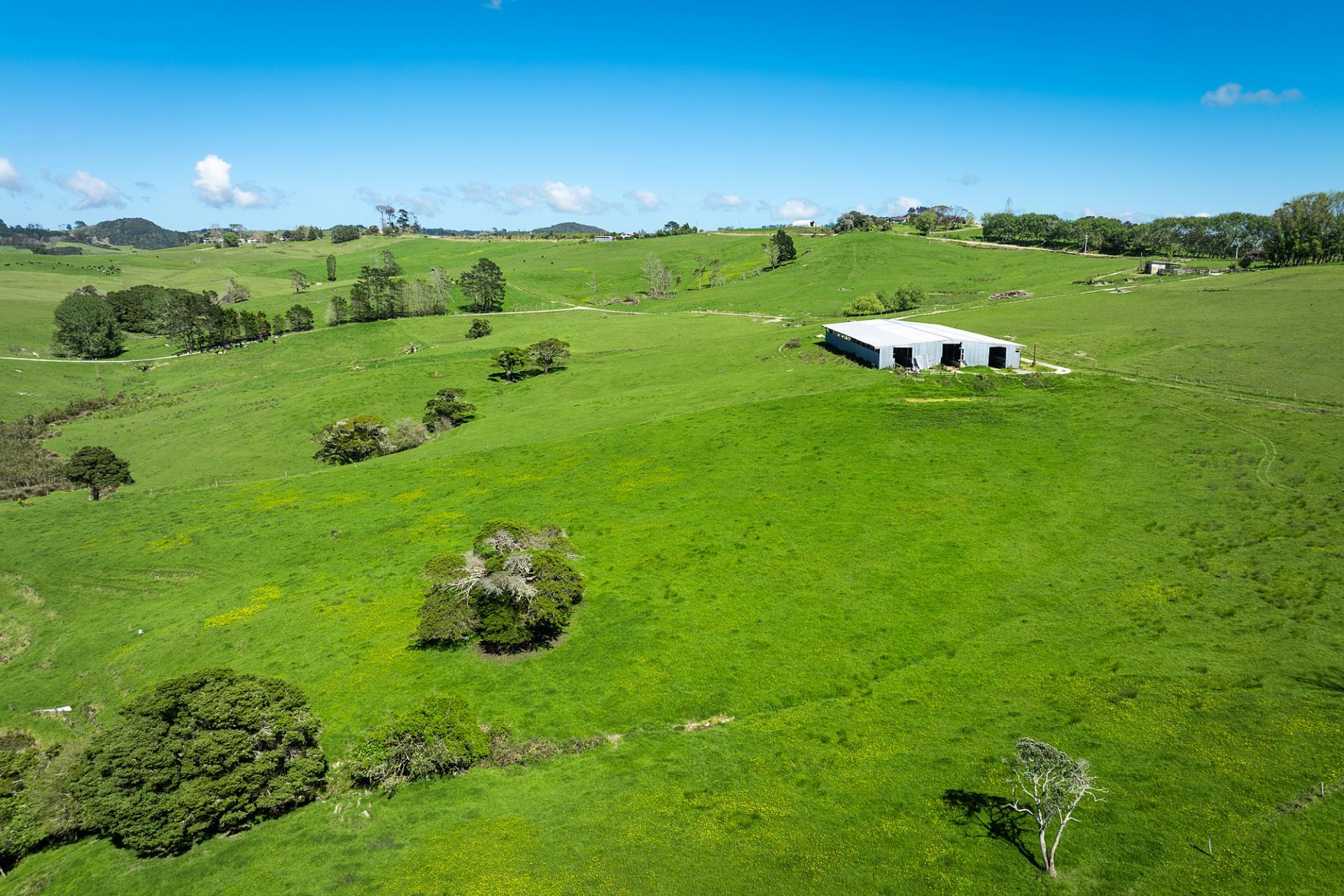 Lot 2 Neems Road, Matakohe