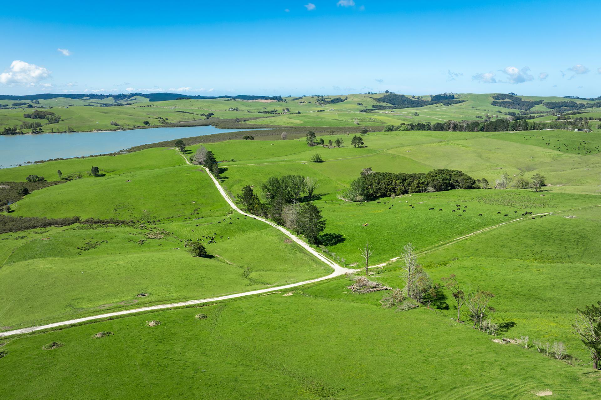 Lot 2 Neems Road, Matakohe