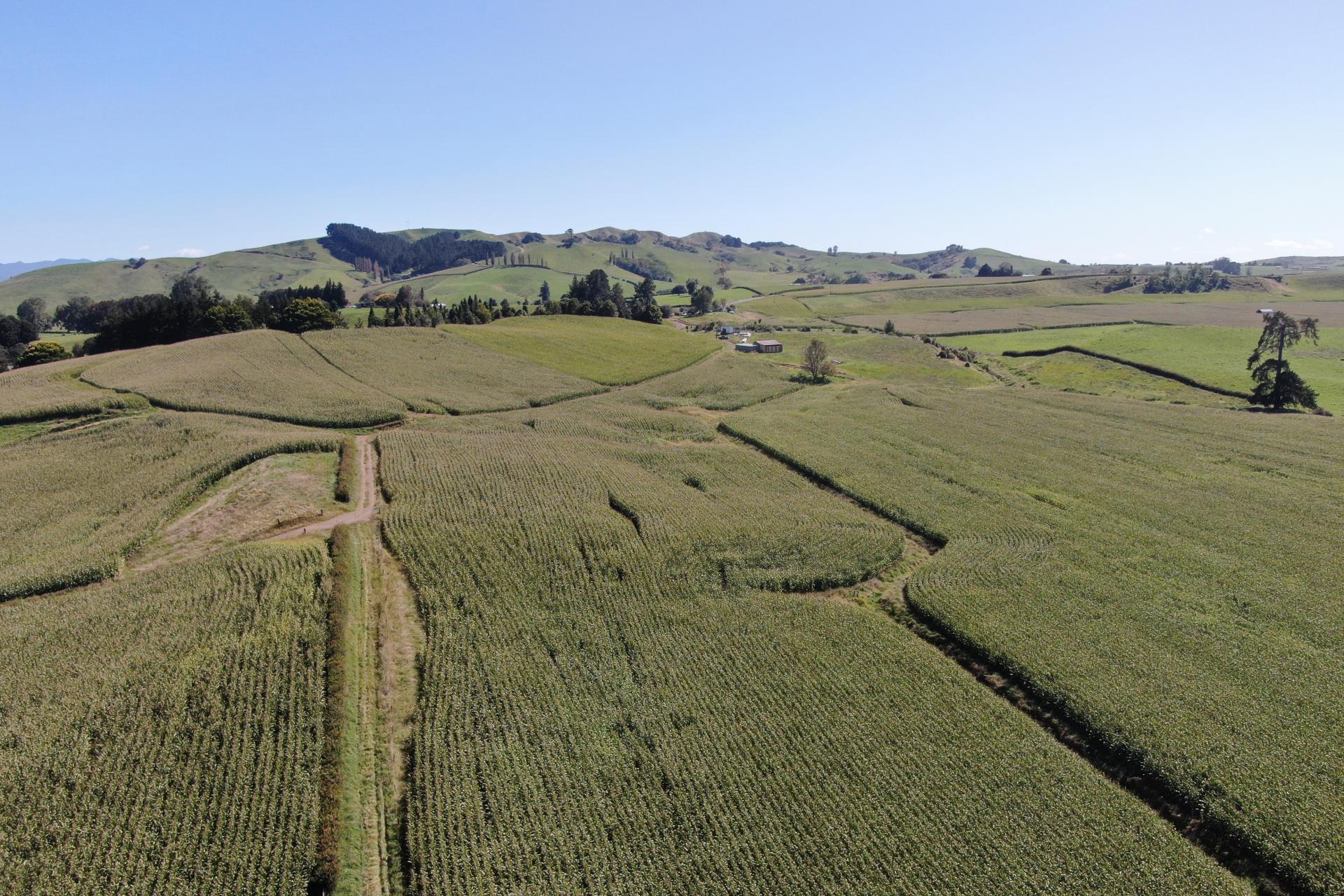 1375 State Highway 3, Otorohanga