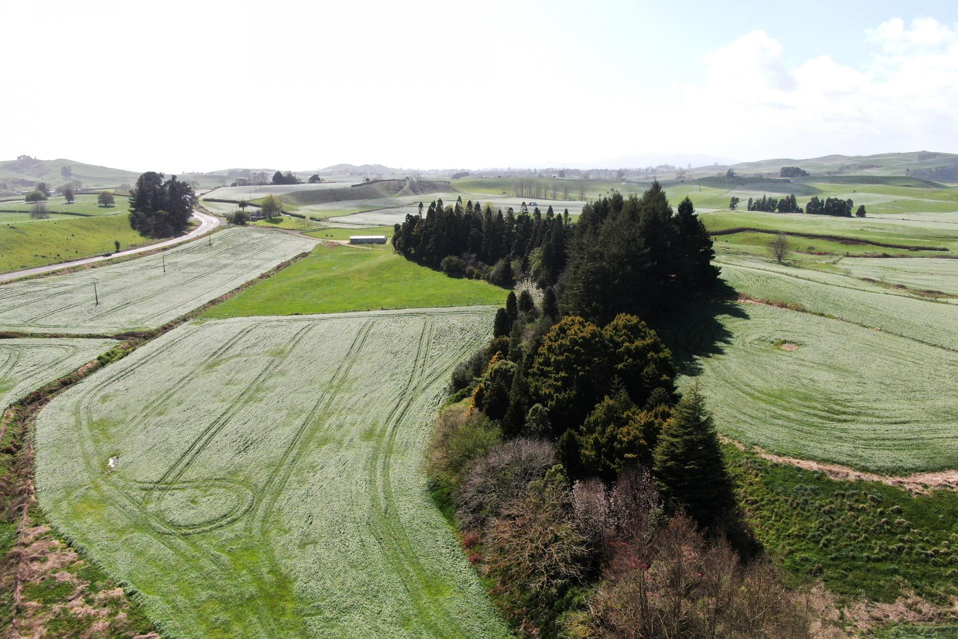 1375 State Highway 3, Otorohanga