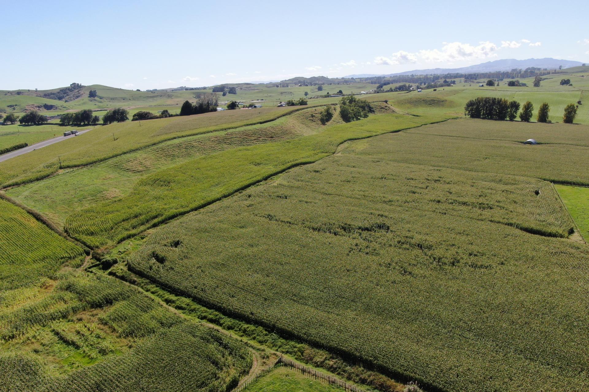 1375 State Highway 3, Otorohanga