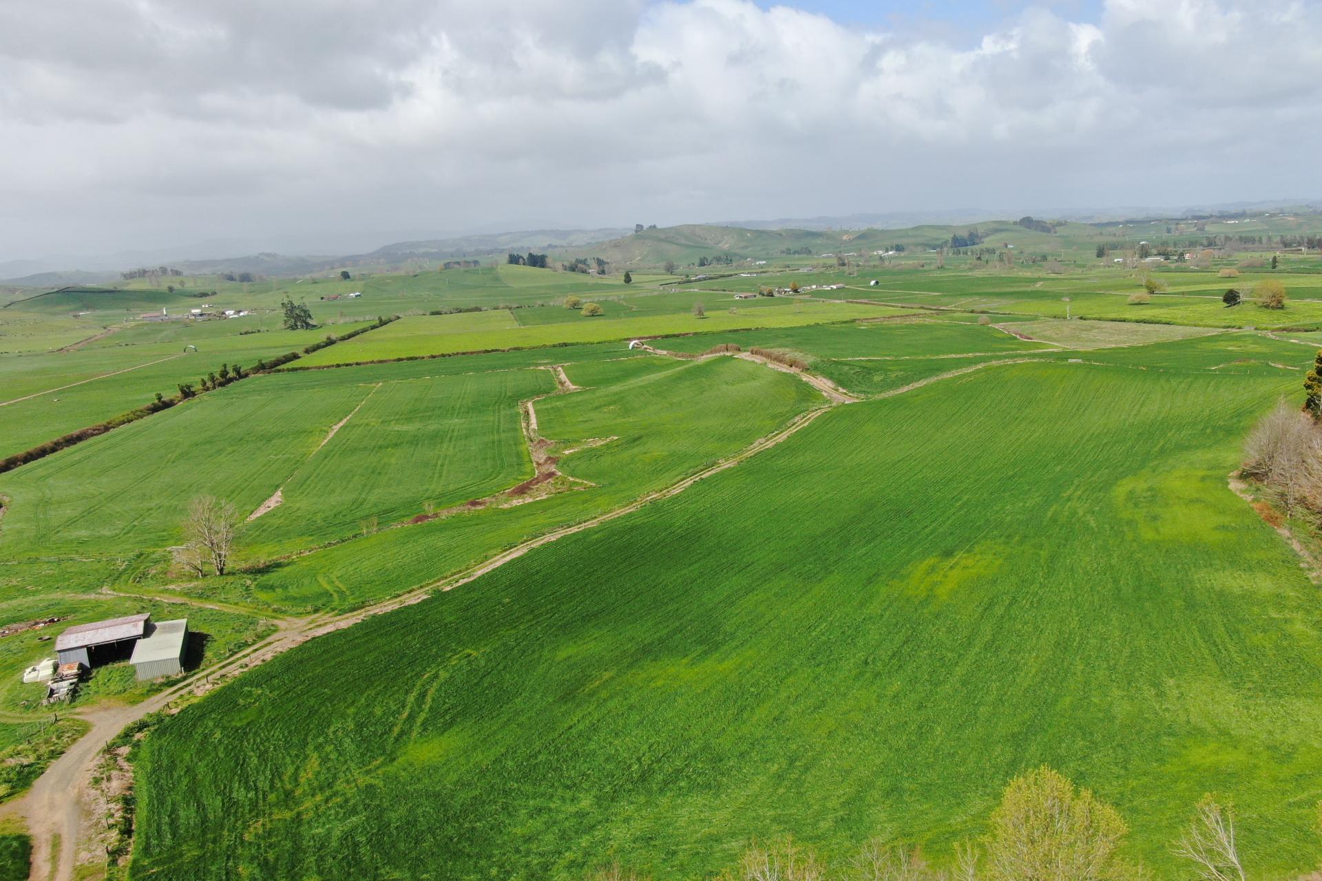 1375 State Highway 3, Otorohanga