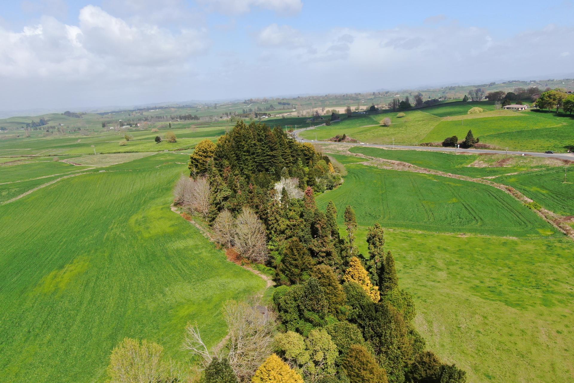 1375 State Highway 3, Otorohanga