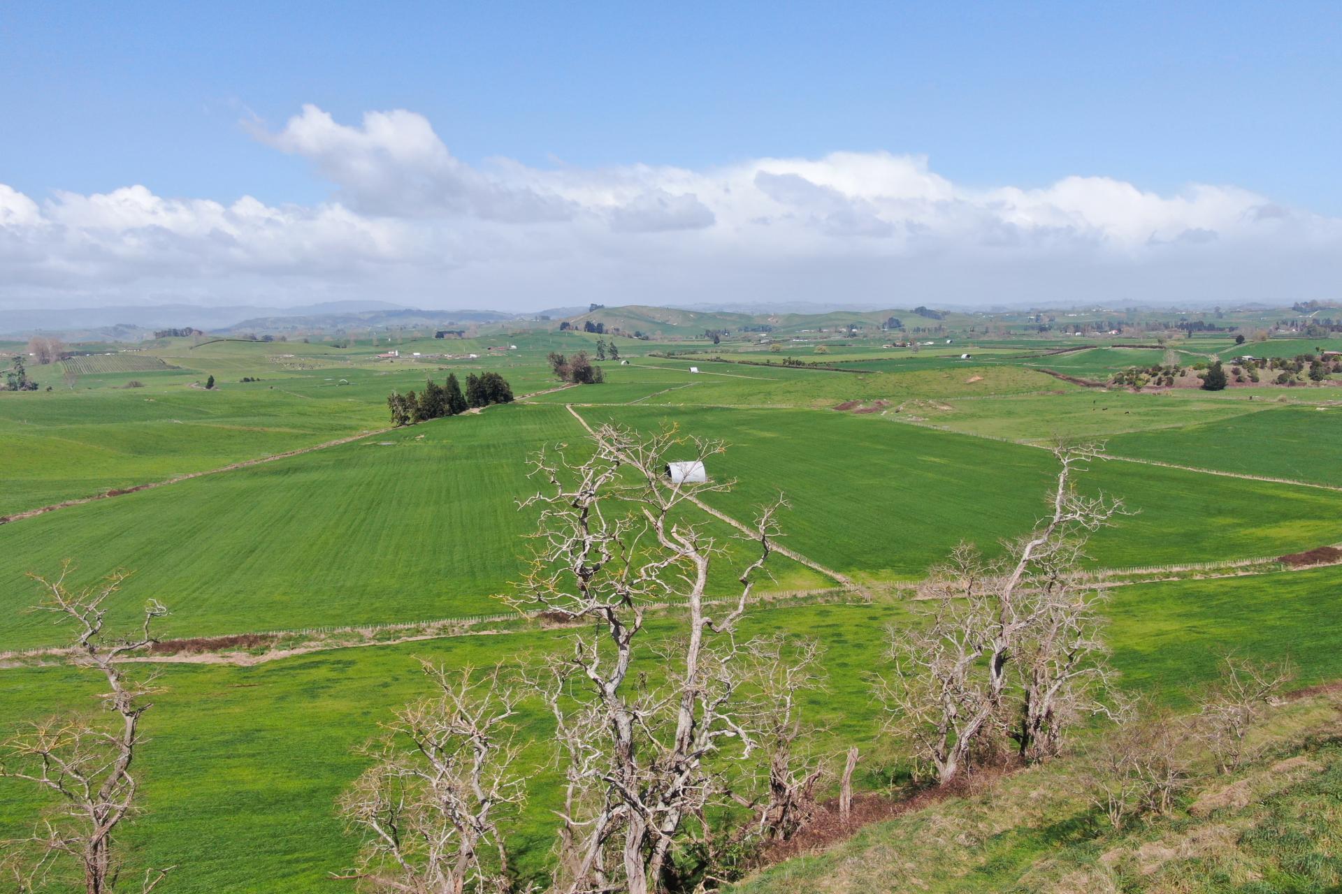 1375 State Highway 3, Otorohanga