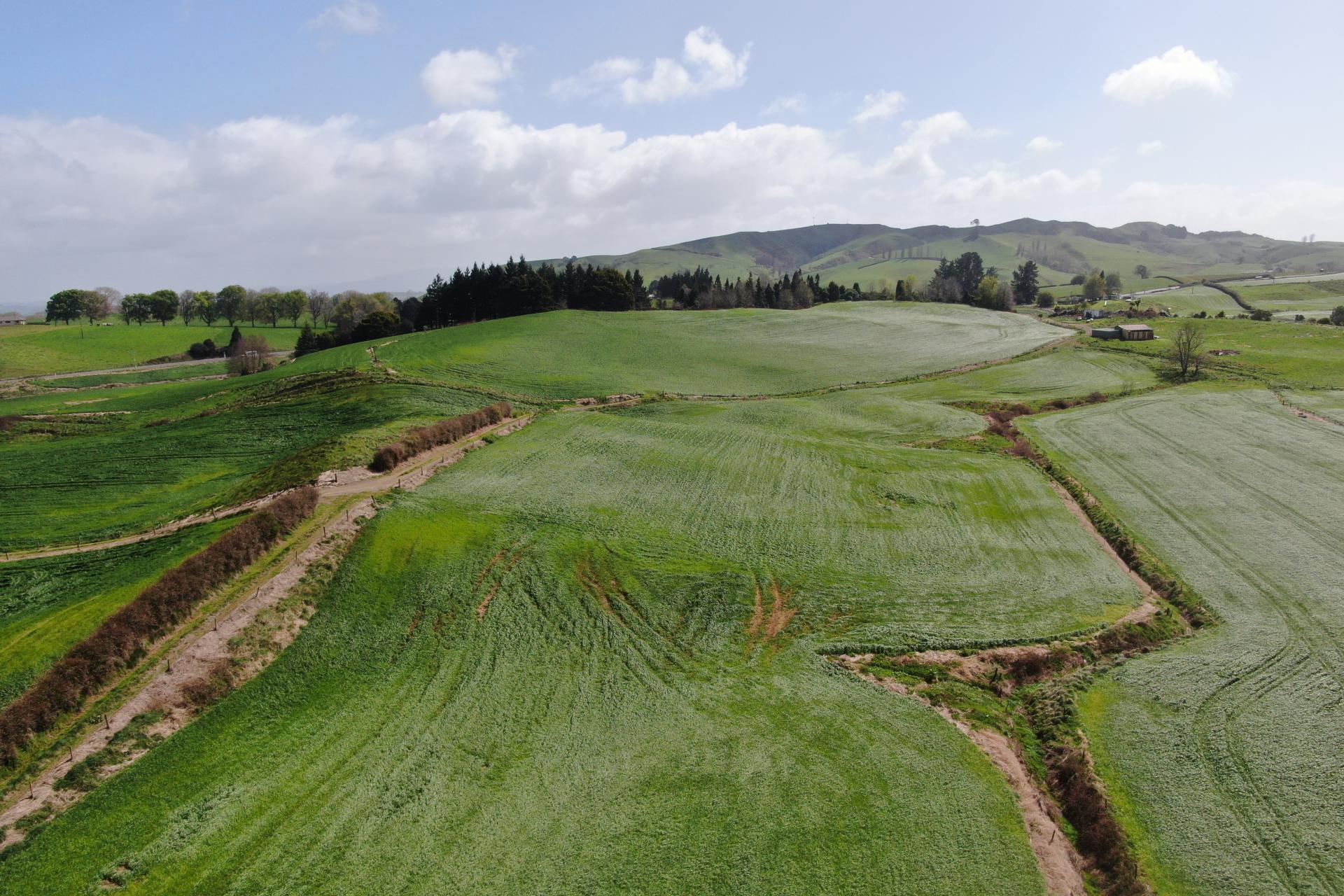 1375 State Highway 3, Otorohanga