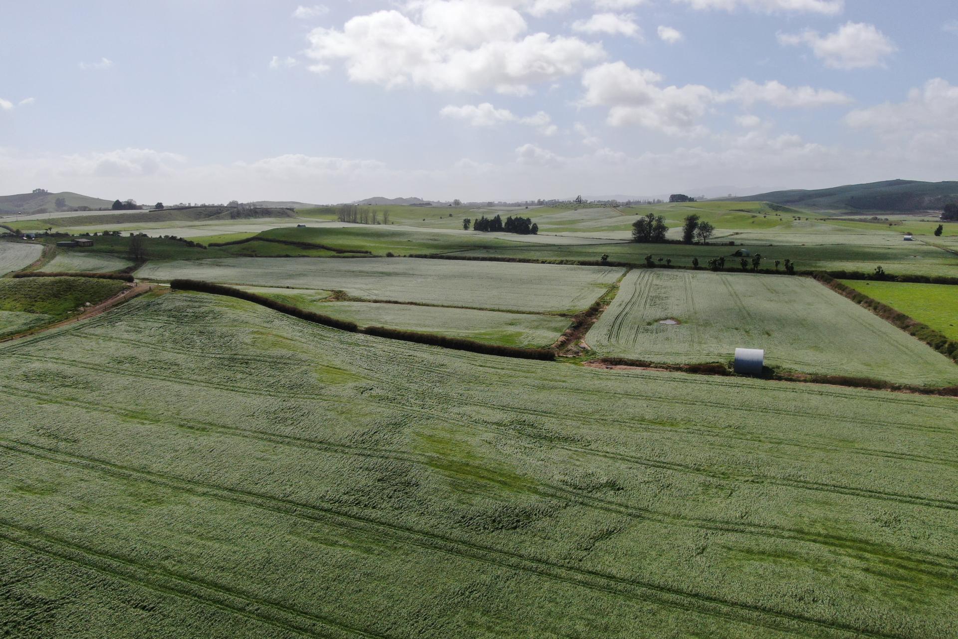 1375 State Highway 3, Otorohanga