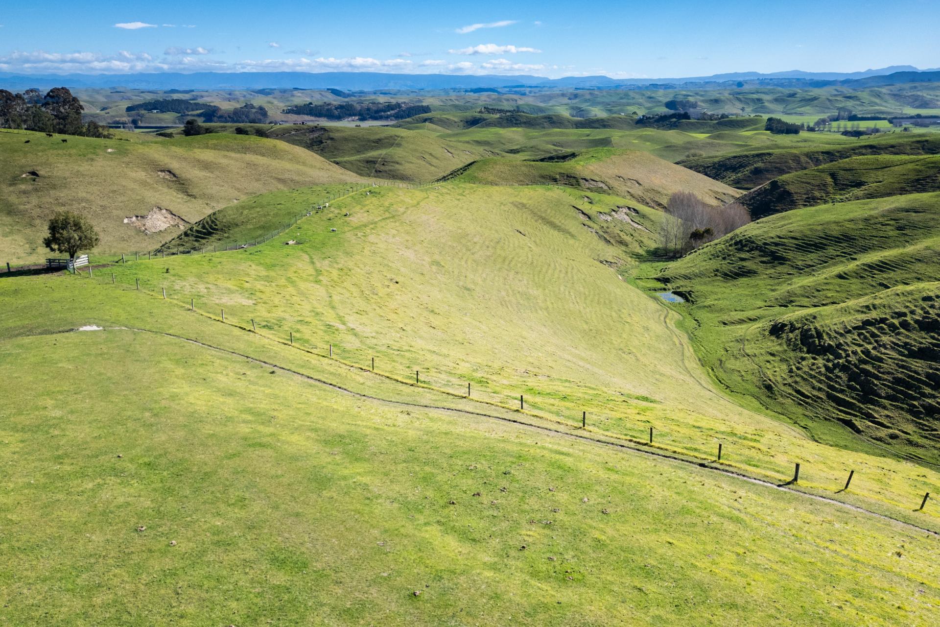 201 Breckenridge Road, Puketapu