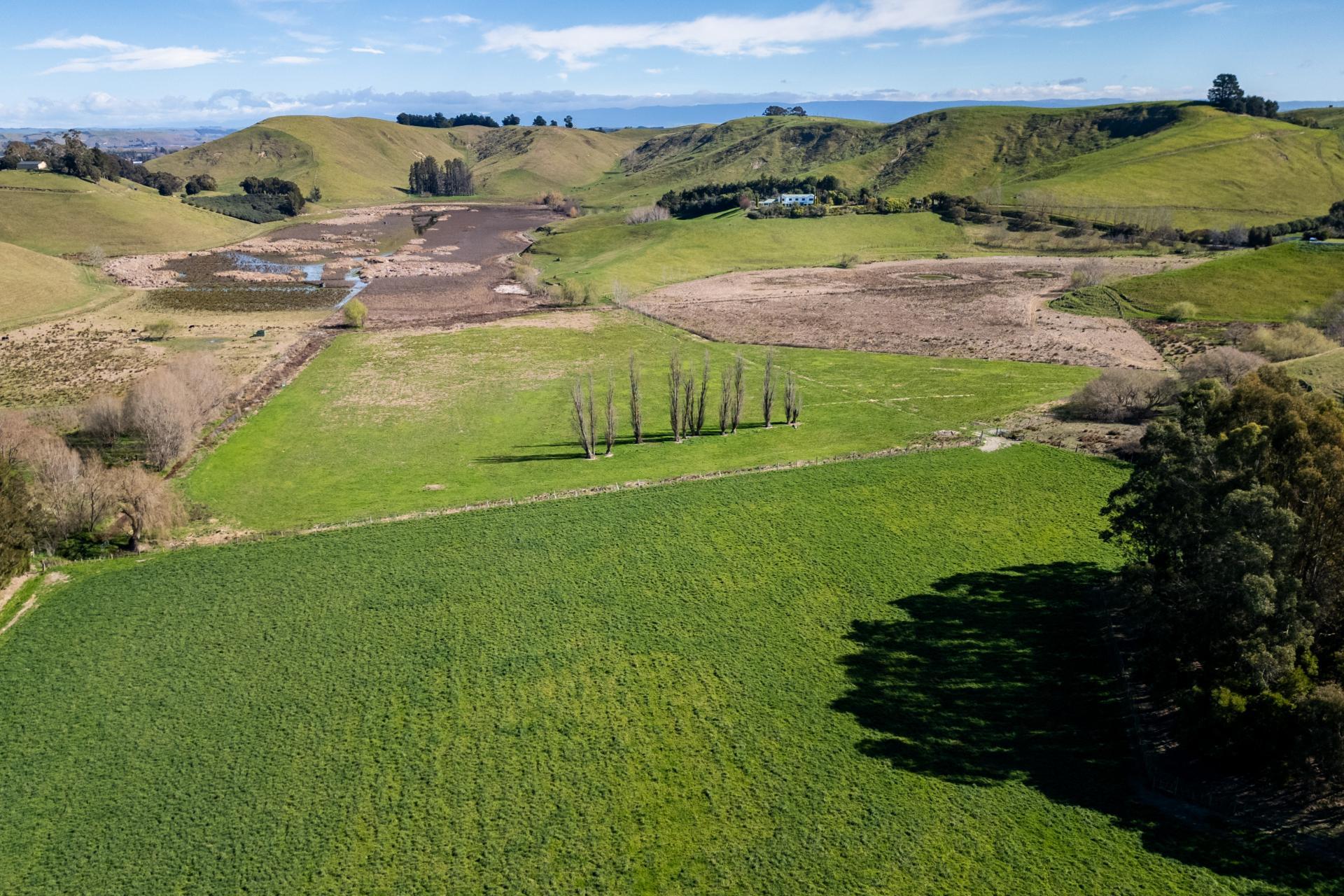 201 Breckenridge Road, Puketapu