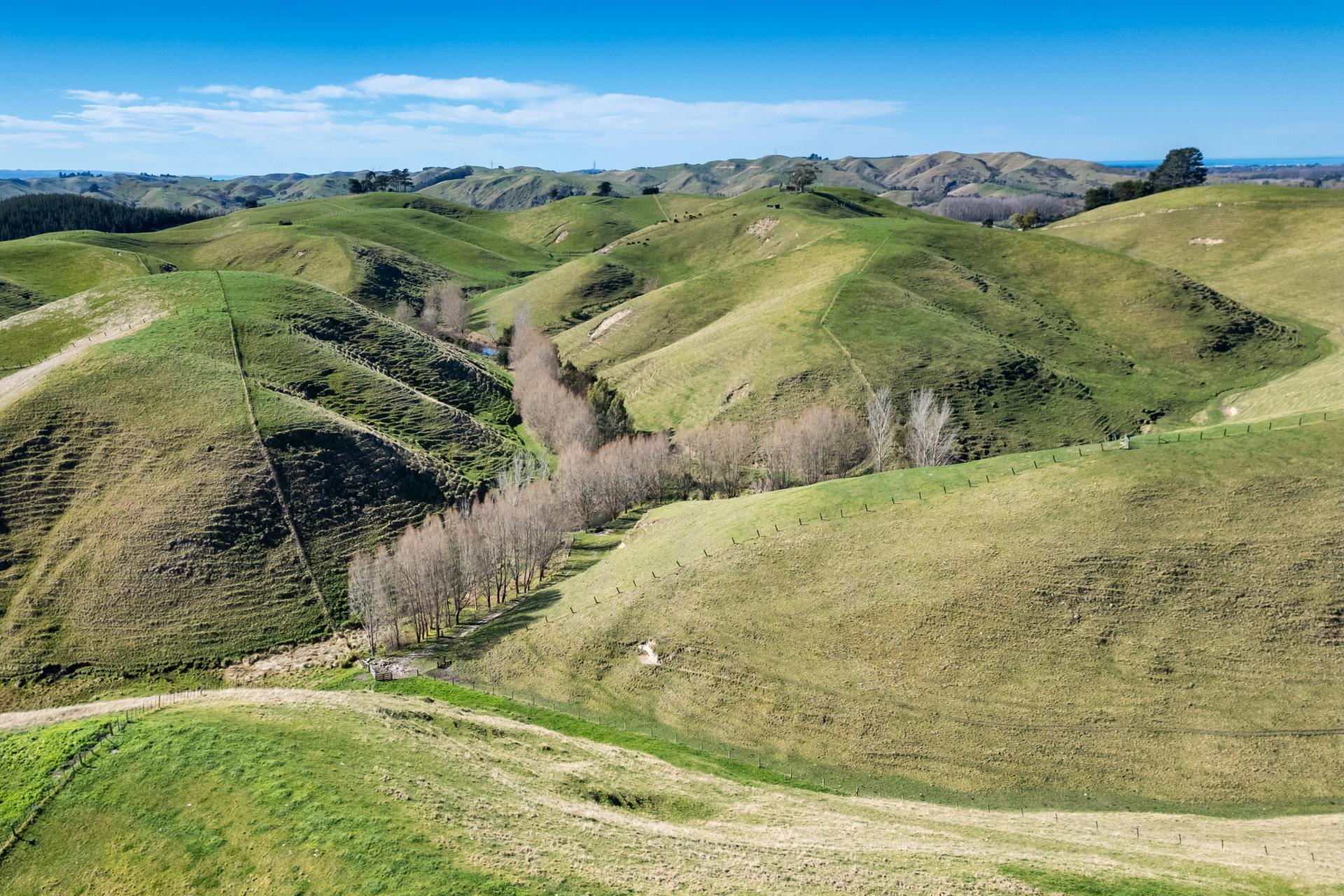 201 Breckenridge Road, Puketapu