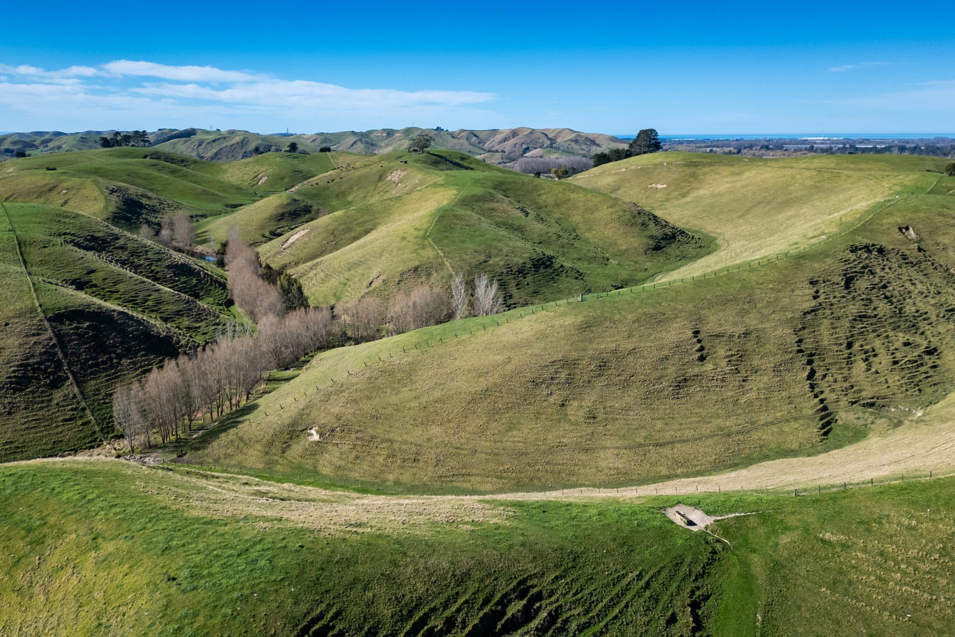 201 Breckenridge Road, Puketapu